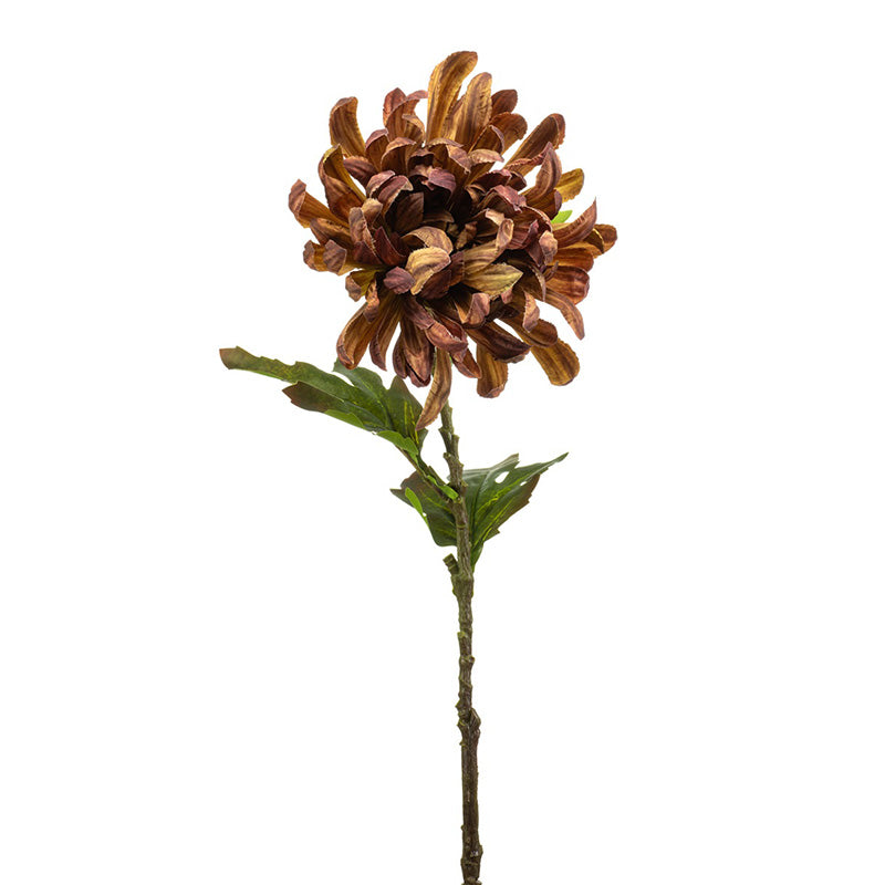 Crisantemo Marrone 60 Cm