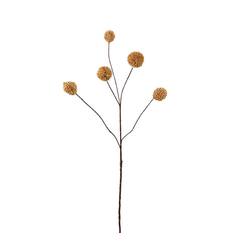 Ramo Cardo Beige 70 Cm