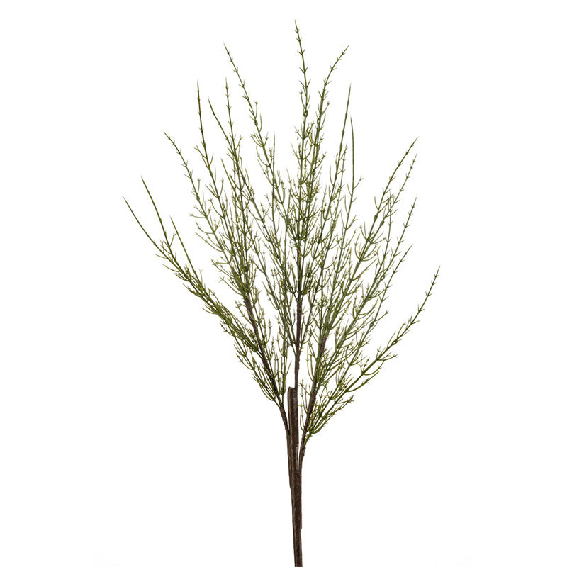 Ramo Foglie Pianta Grassa 65 Cm