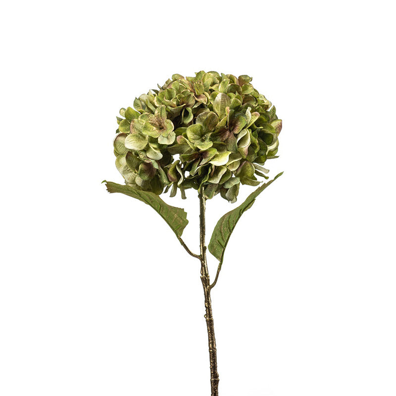 Ortensia Verde Oro 55 Cm