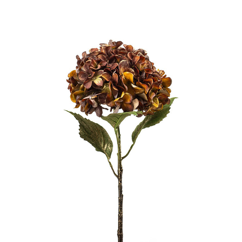 Ortensia Mattone Oro 55 Cm
