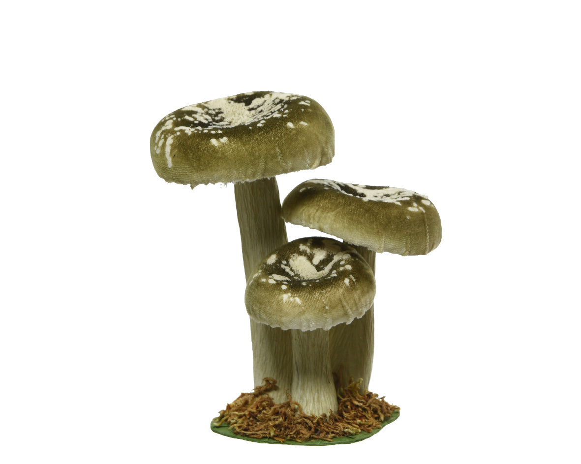 Funghi ornamentali in velluto verde oliva con cappelli maculati bianco e crema su gambi chiari e base di muschio | DeMatteis.it