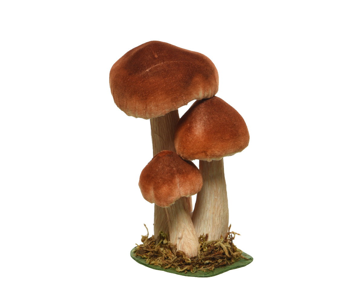Composizione di funghi in velluto rosso ruggine con cappelli lisci e gambi in tessuto chiaro su base di muschio verde | DeMatteis.it