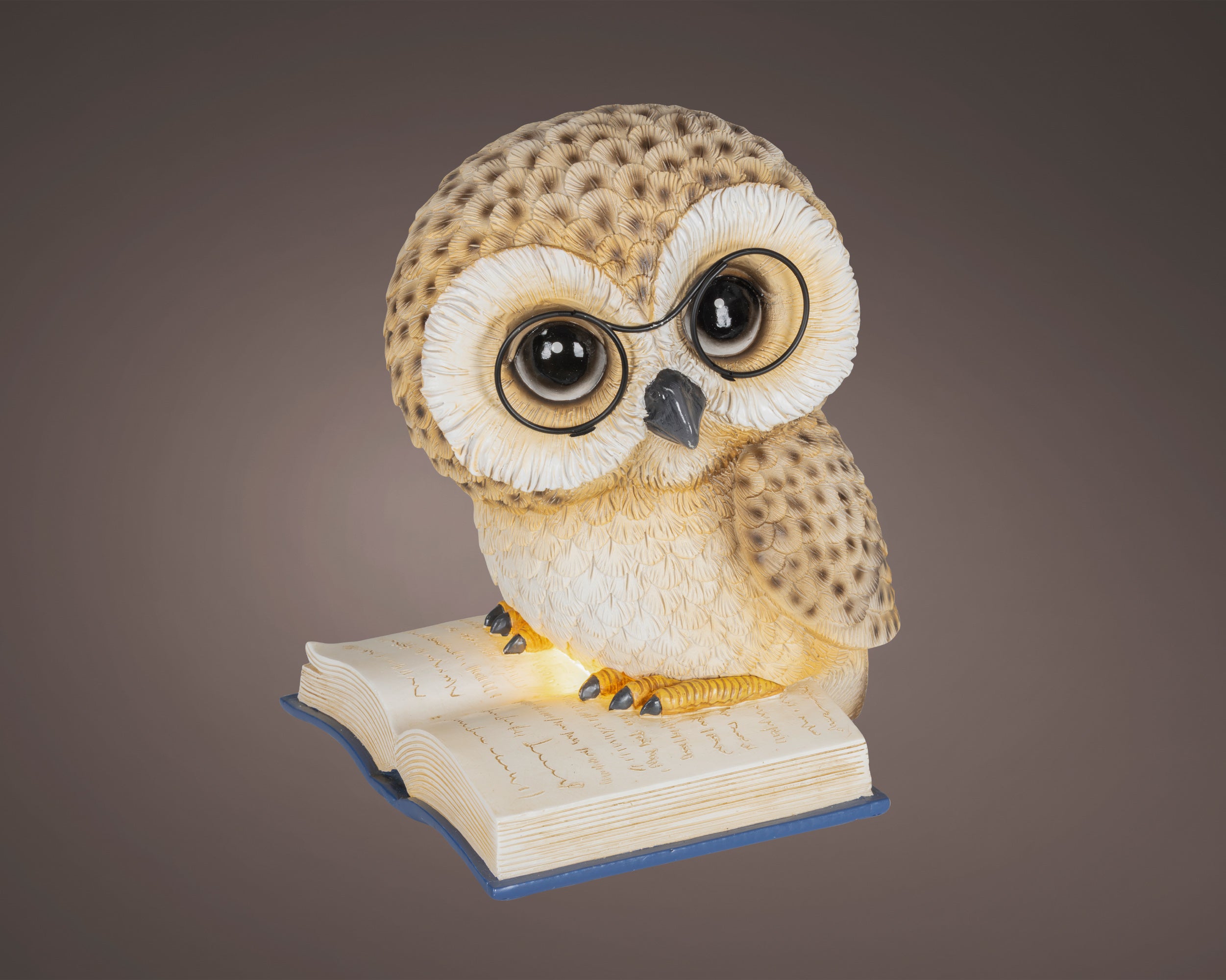 Gufo Marrone Su Libro Led Luca Calda 18x22x25 Cm