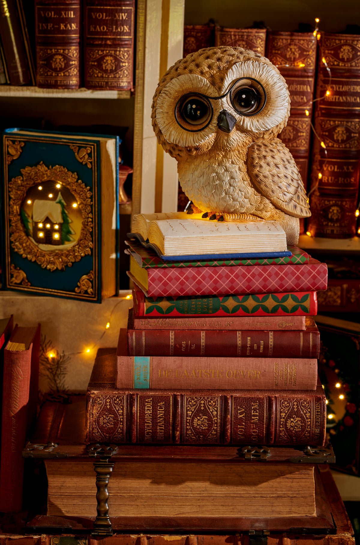 Gufo Marrone Su Libro Led Luca Calda 18x22x25 Cm