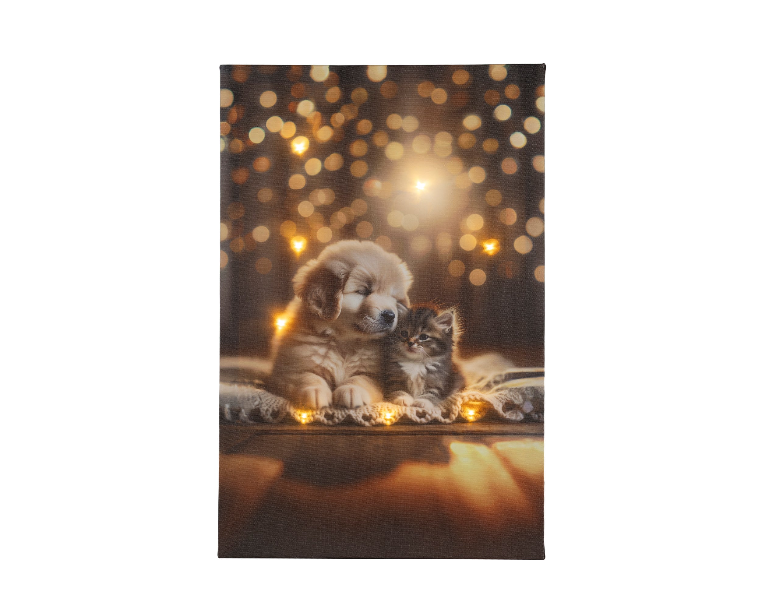 Quadro Luminoso Cane Con Gatto 38x58 Cm