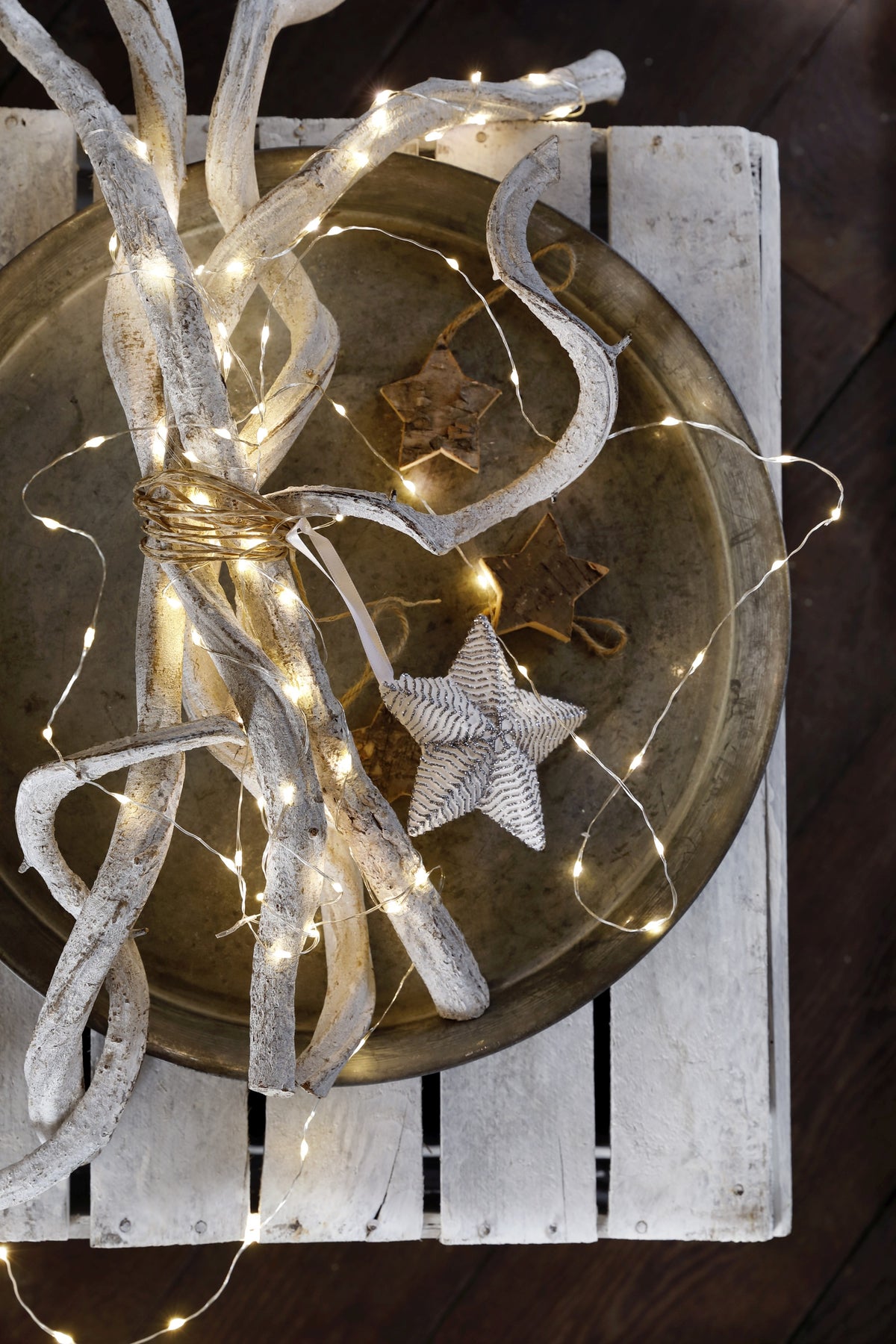 Filo Silver 10 Micro Led Luce Calda 45 cm