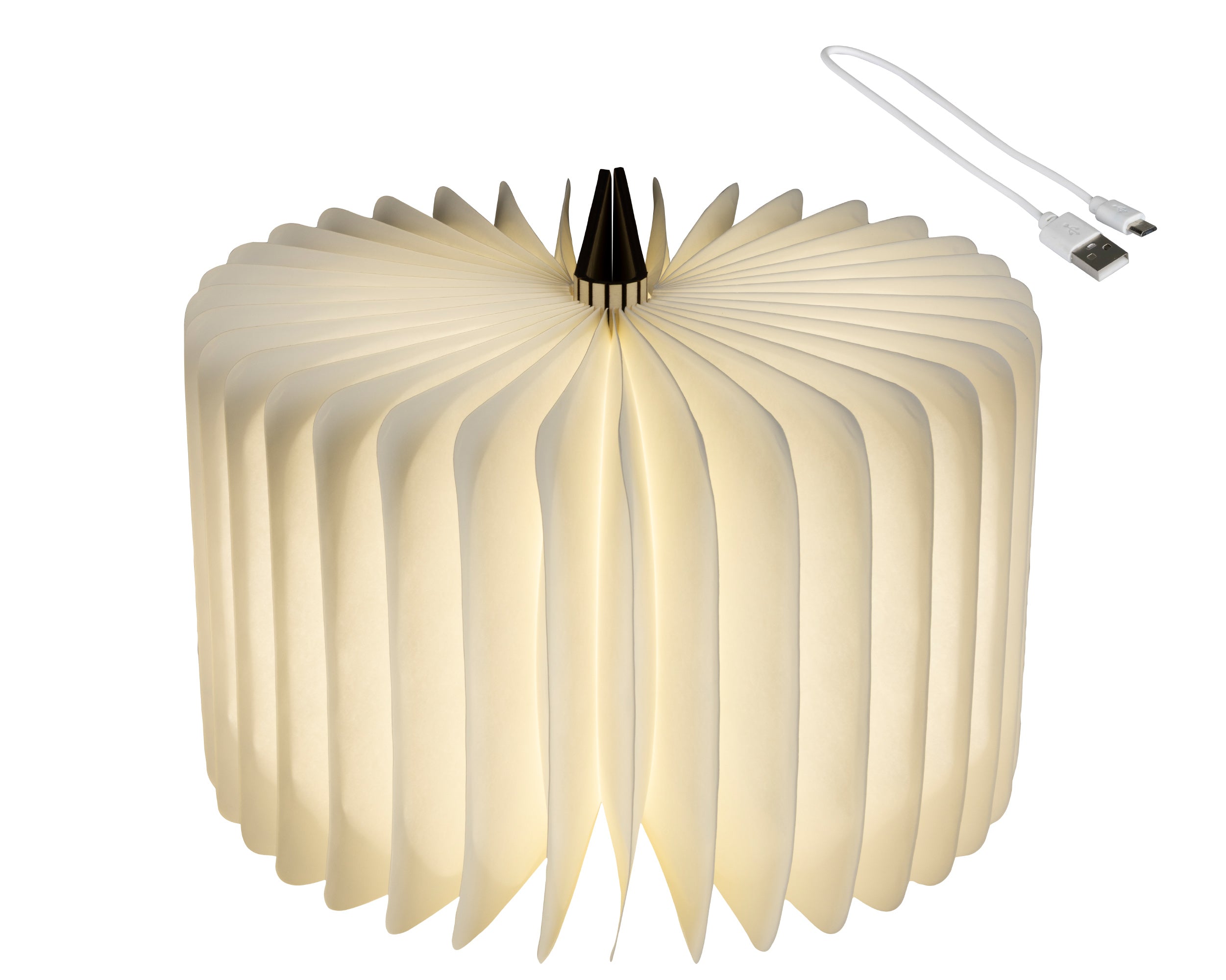 Lampada Libro 22x33x17 Cm Luce Calda