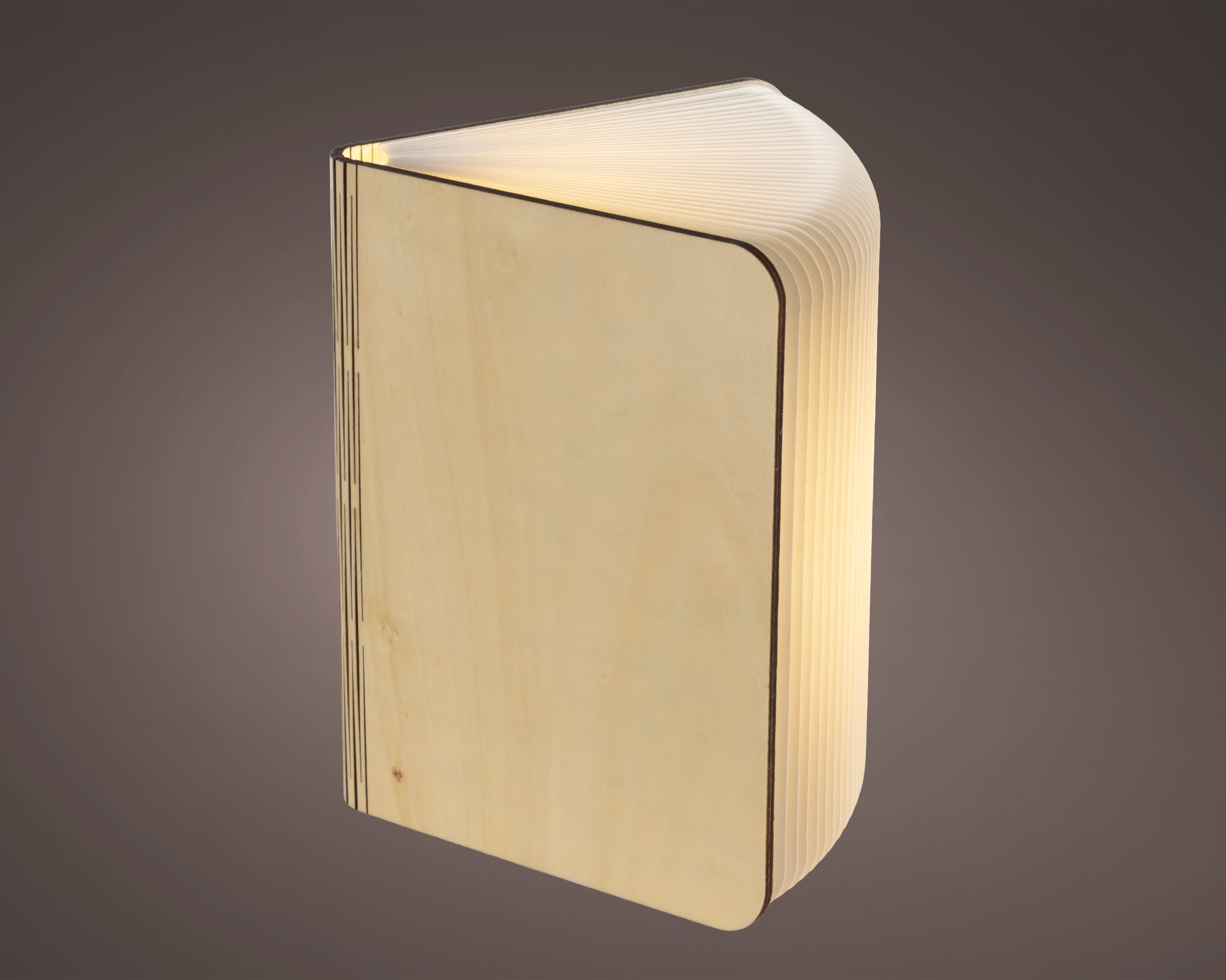Lampada Libro 22x33x17 Cm Luce Calda