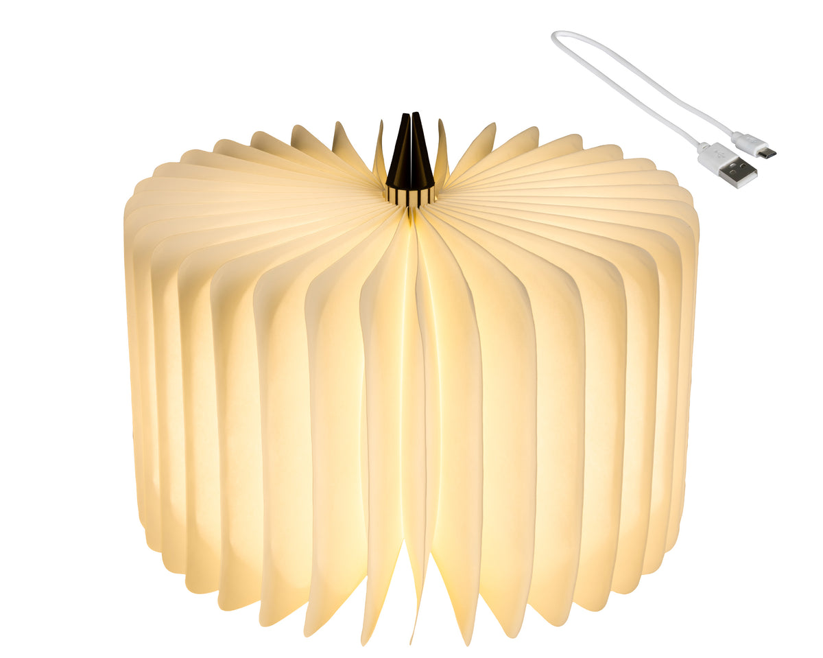 Lampada Libro 22x33x17 Cm Luce Calda