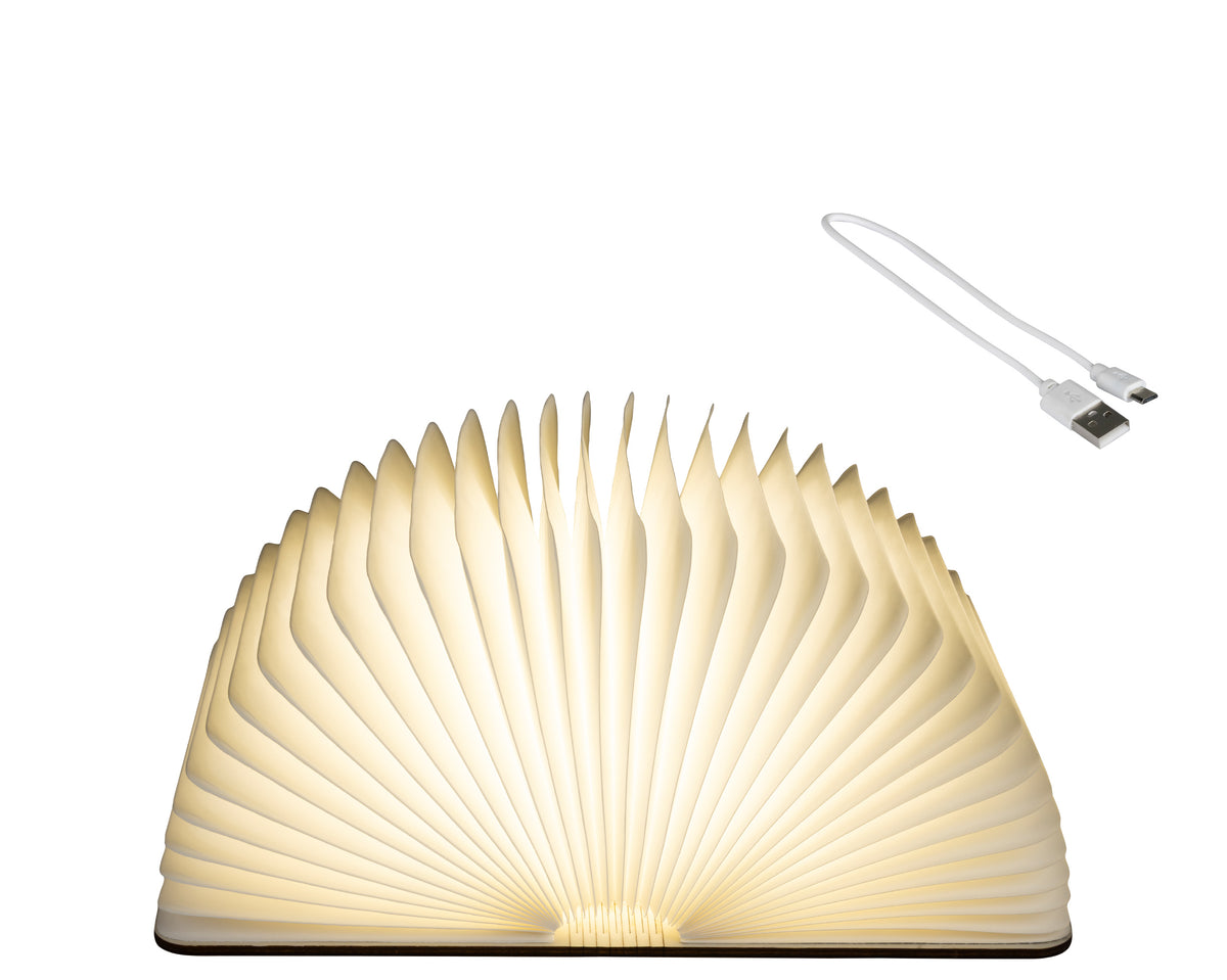 Lampada Libro 22x33x17 Cm Luce Calda