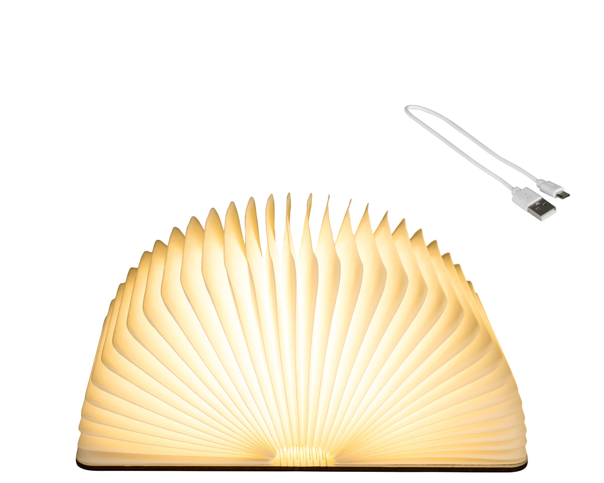 Lampada Libro 22x33x17 Cm Luce Calda