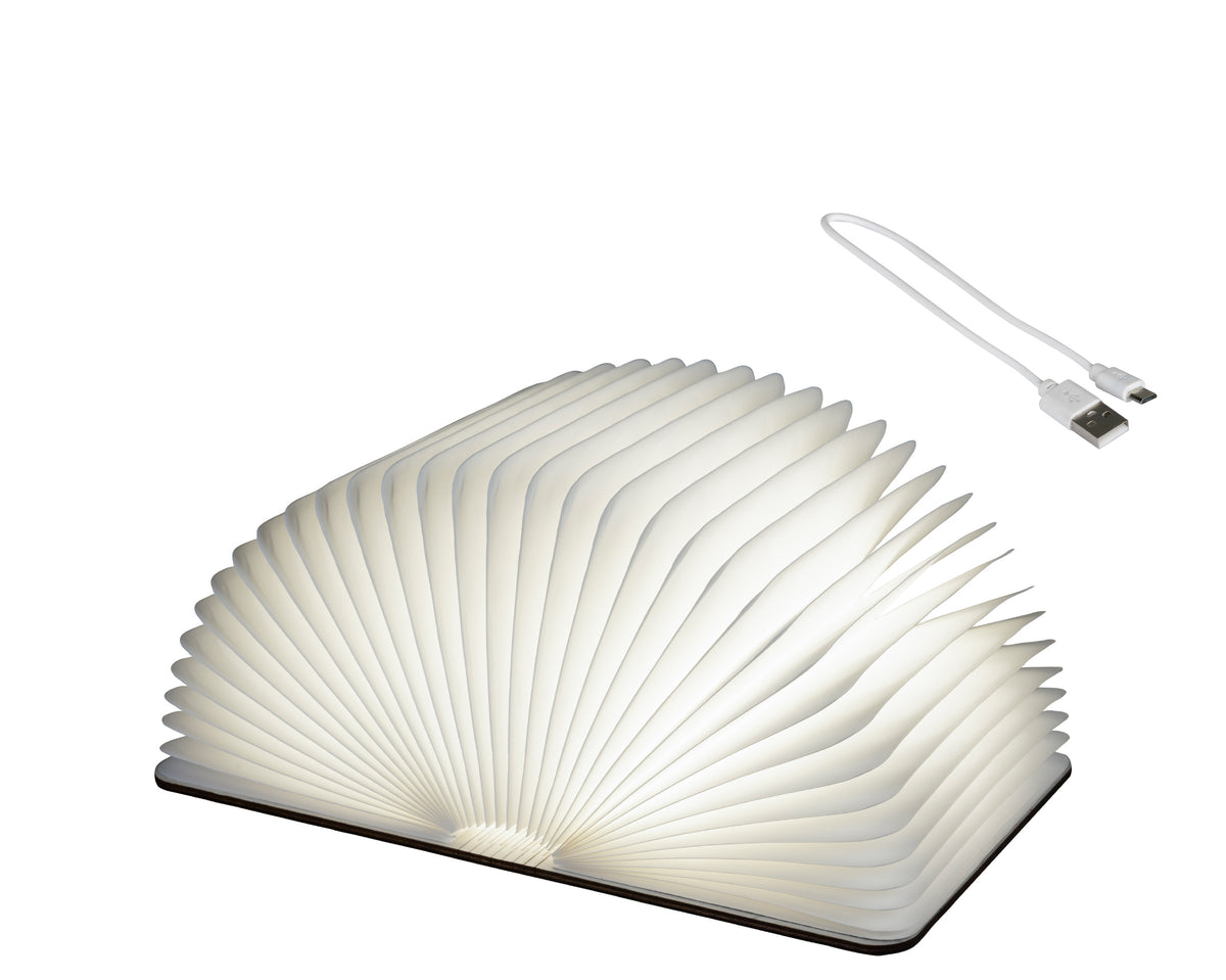 Lampada Libro 22x33x17 Cm Luce Calda