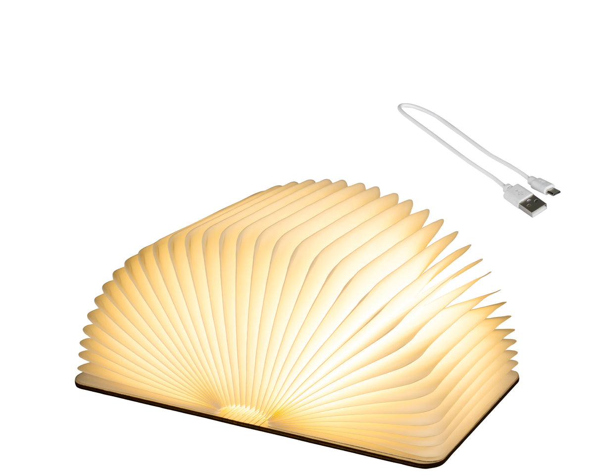 Lampada Libro 22x33x17 Cm Luce Calda