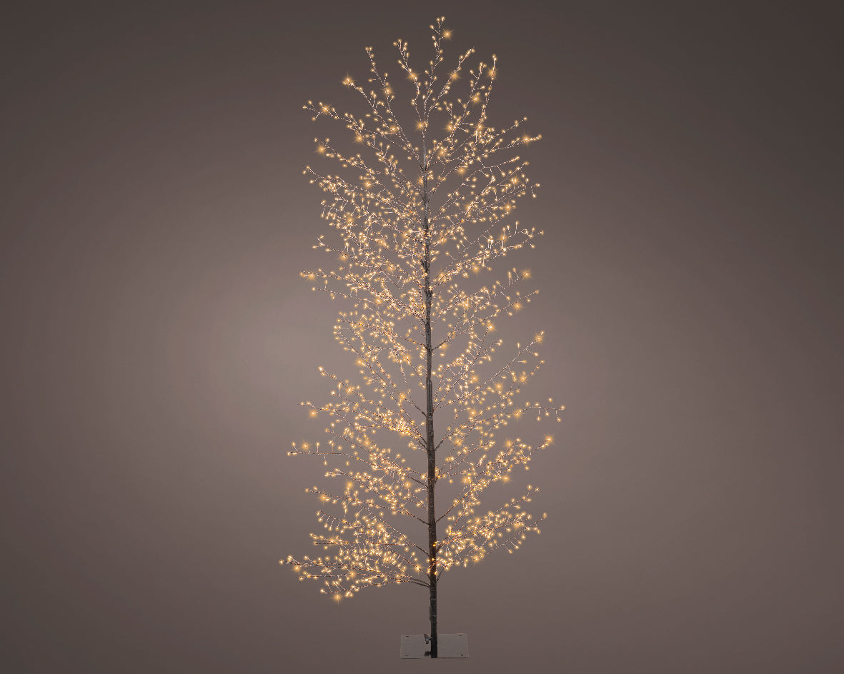 Albero 1755 Micro Led Caldi Nero D 70x180 Cm