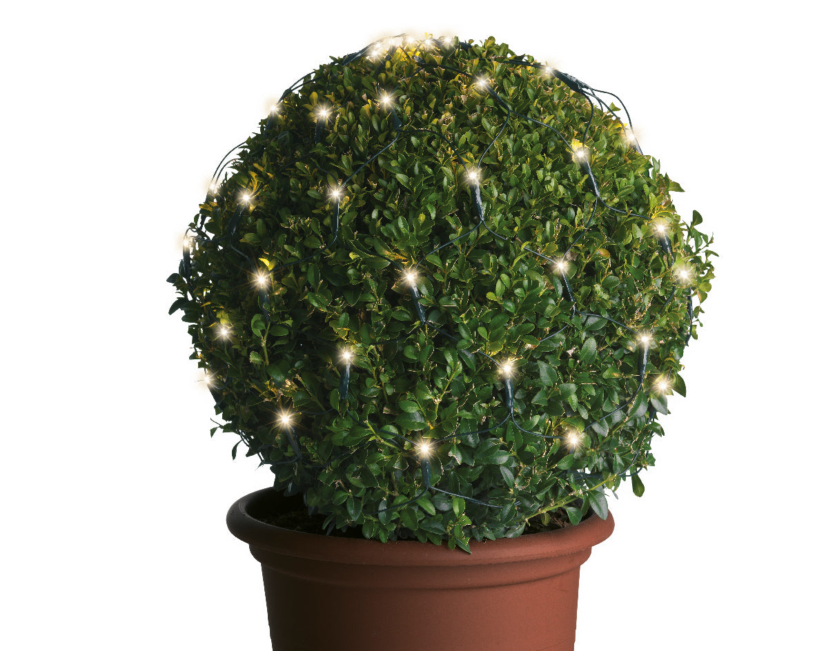 Rete 80 Luci Led Calde D 80 Cm Cavo Verde