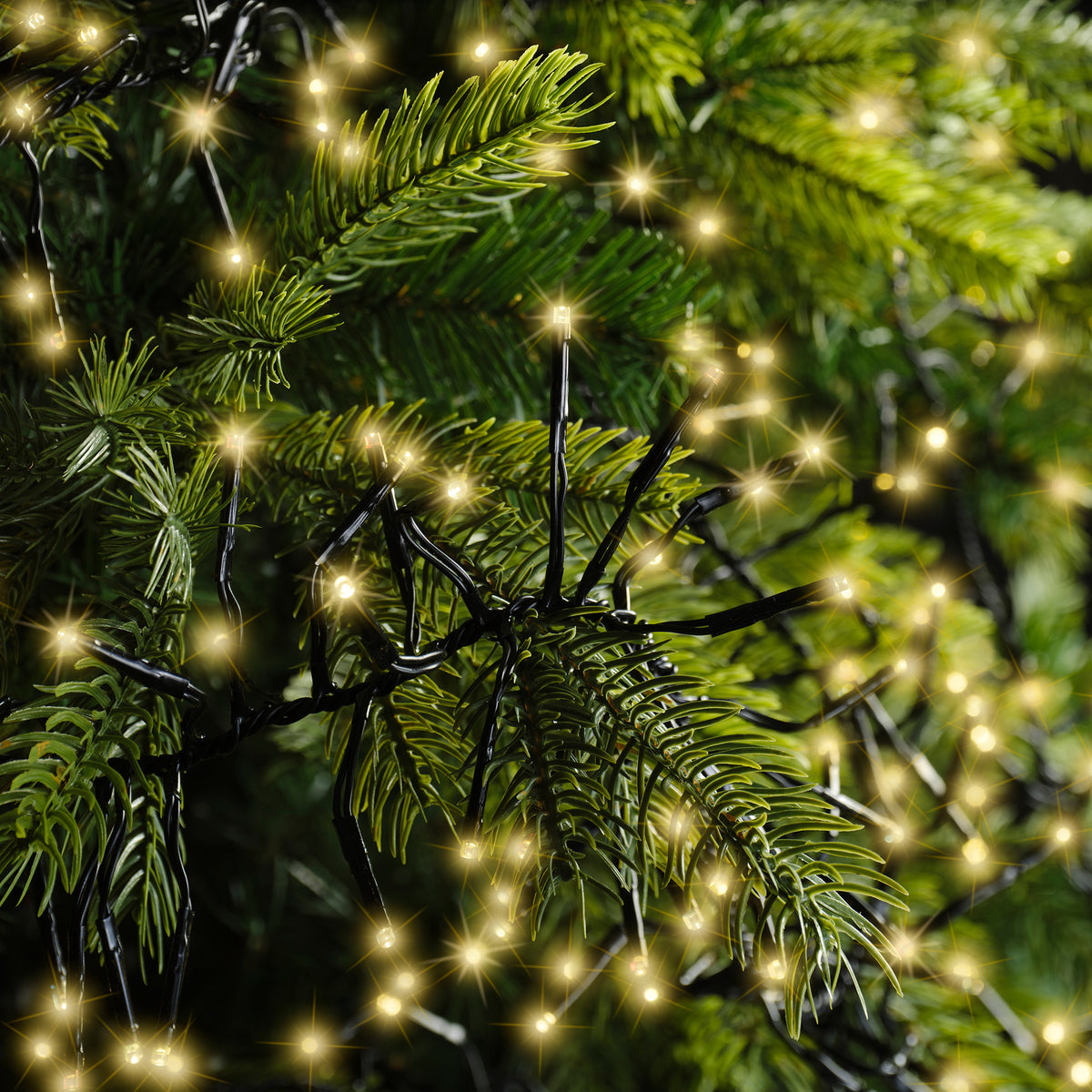 Luci Natale Cluster 1512 Led Oro Soft