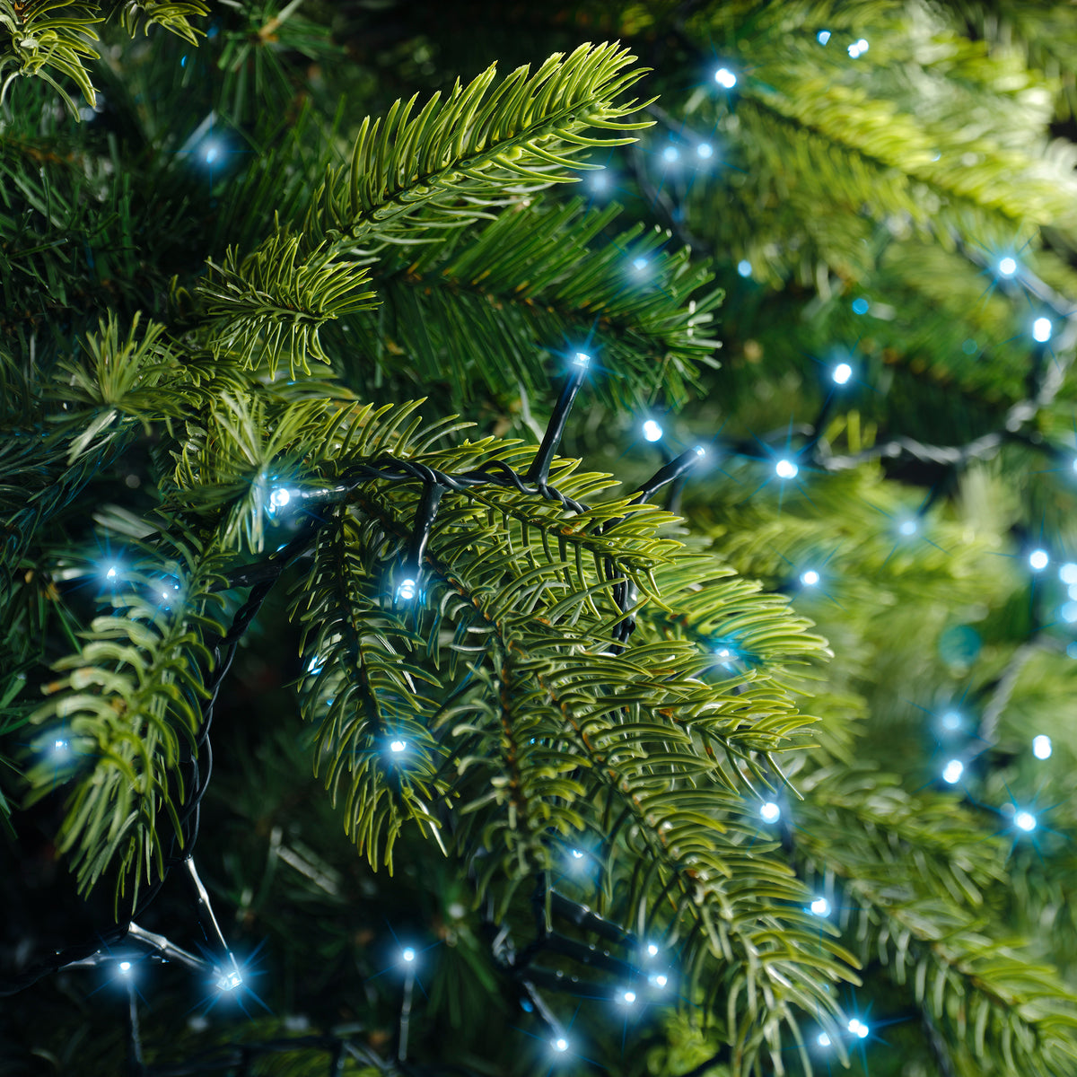 Luci Natale 750 Led Blu