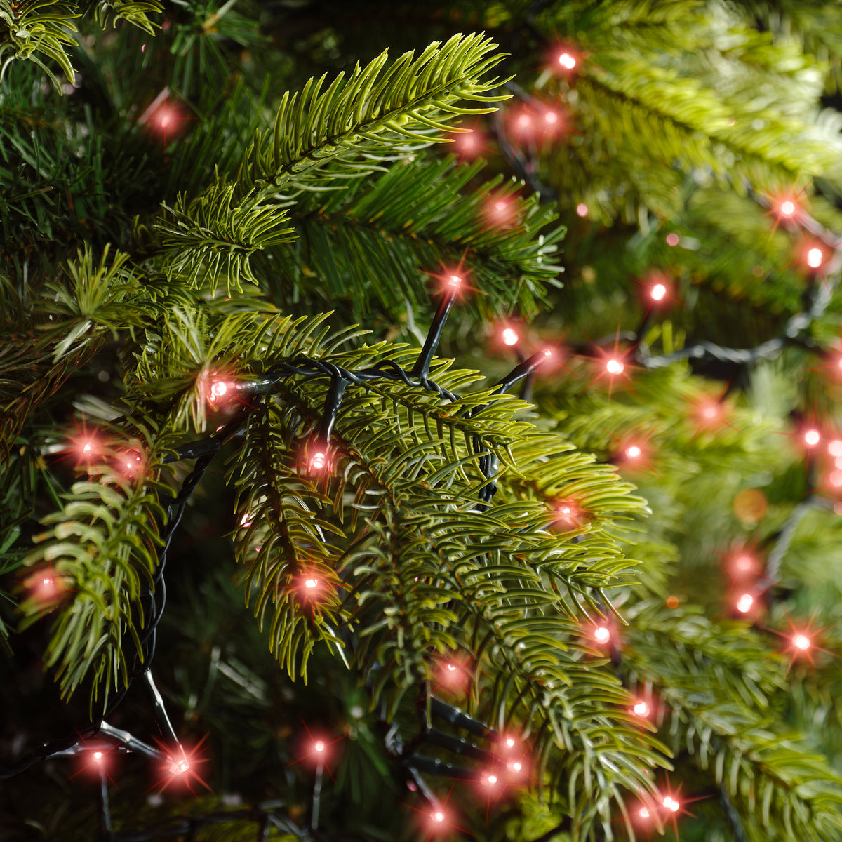 Luci Natale 750 Led Rosso