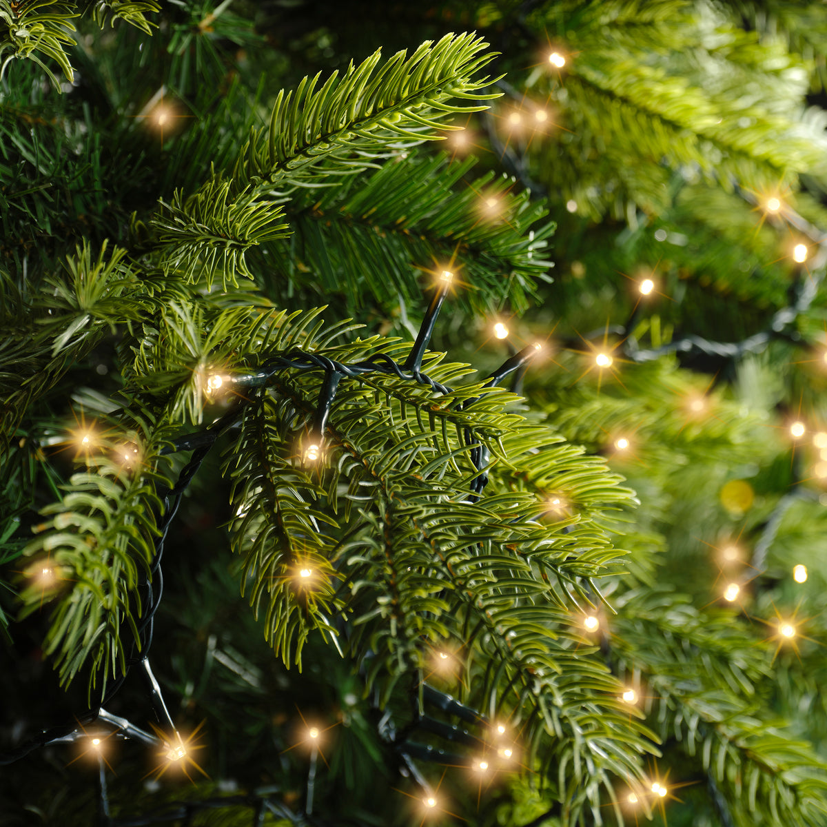 Luci Natale 1500 Led Caldo Classico