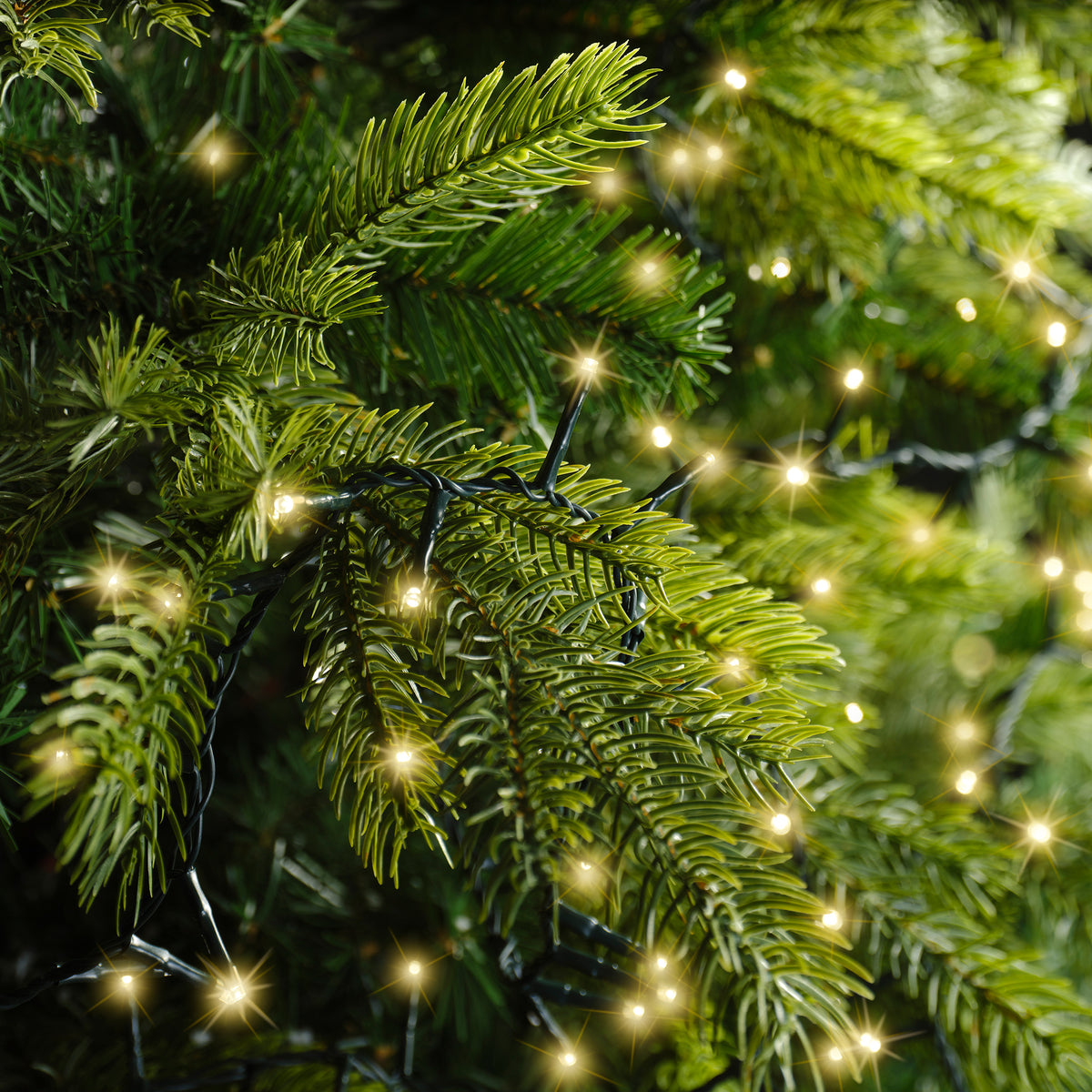 Luci Natale 1500 Led Oro Soft