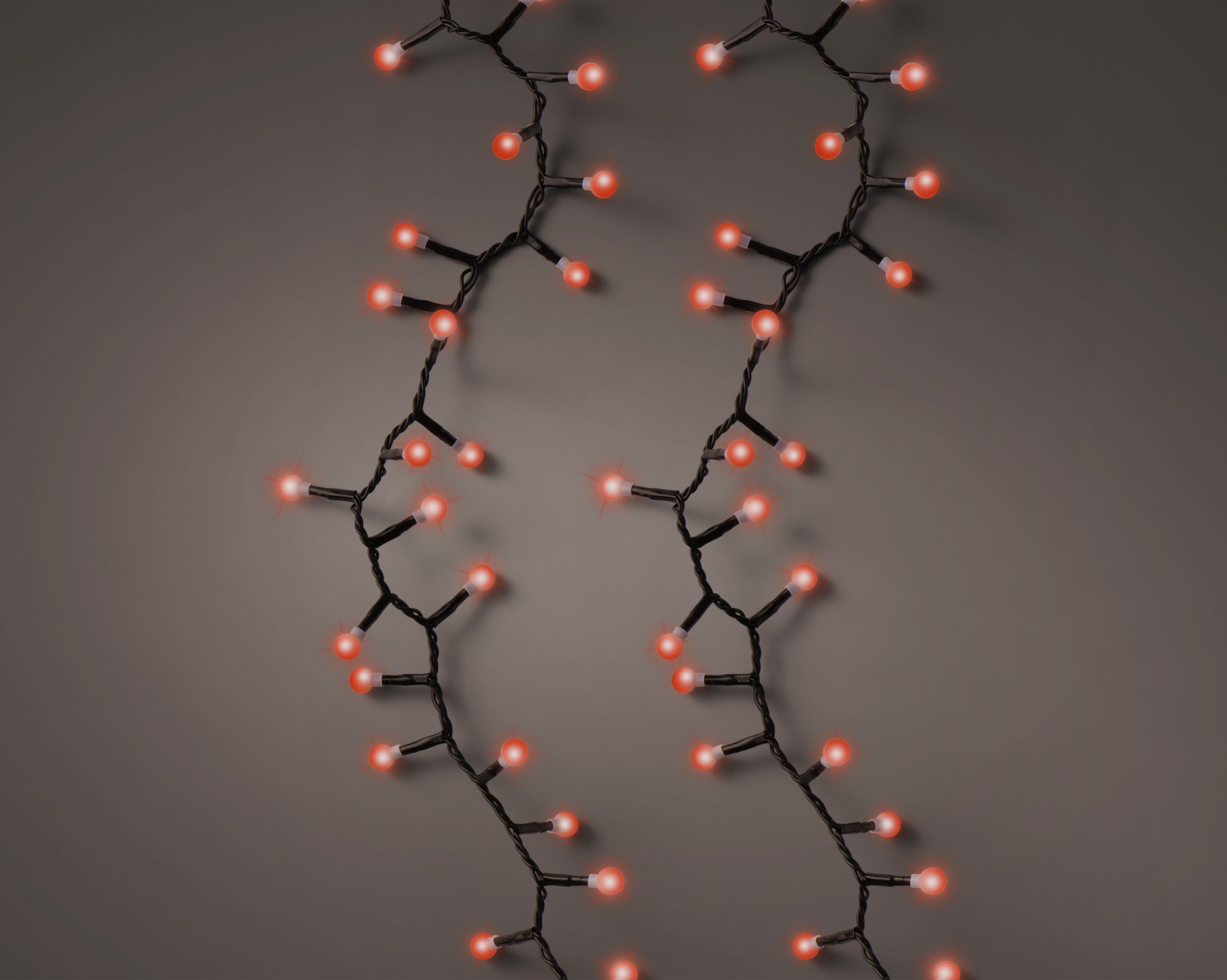 Luminaria 500 Bacche Rosse 11 M