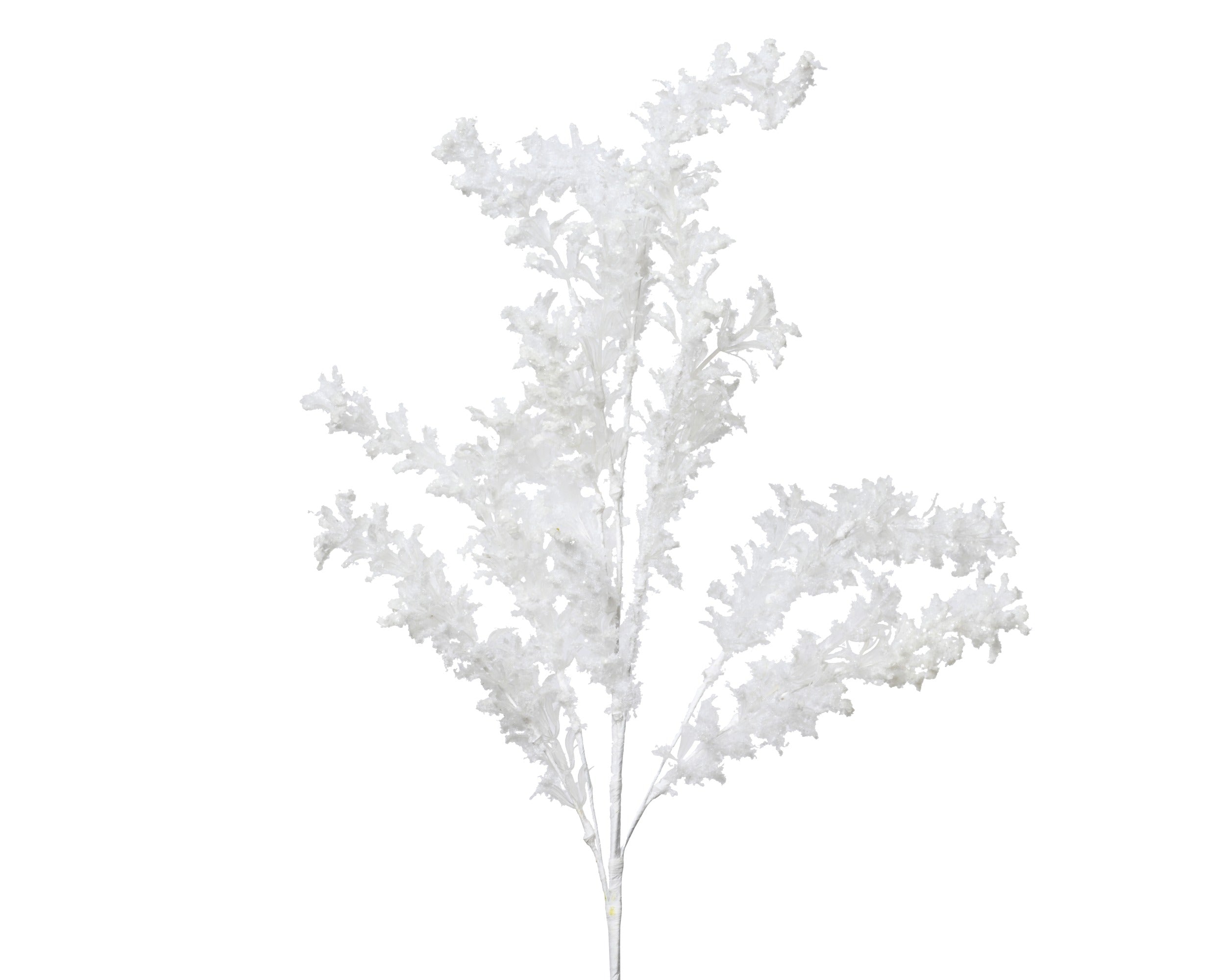Ramo Ghiacciato Bianco 7x75 Cm