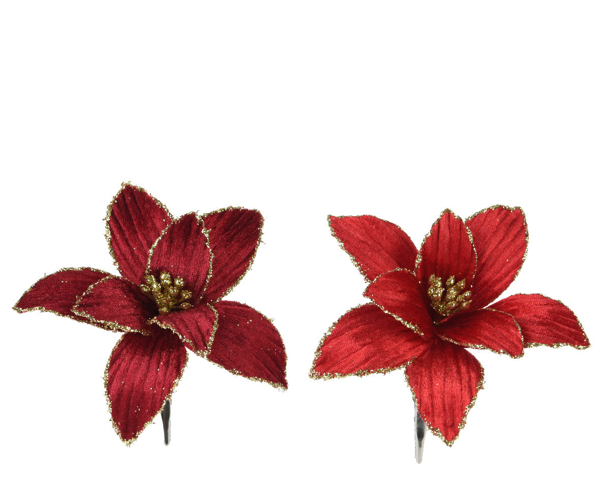 Stella Natale Velluto E Oro D 13x5 Cm 1 Pz