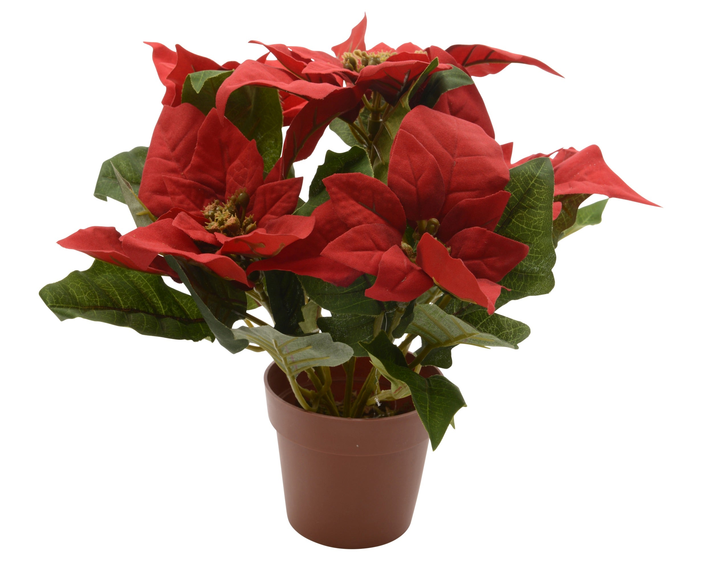 Stella Di Natale In Vaso Rossa 20x27 Cm