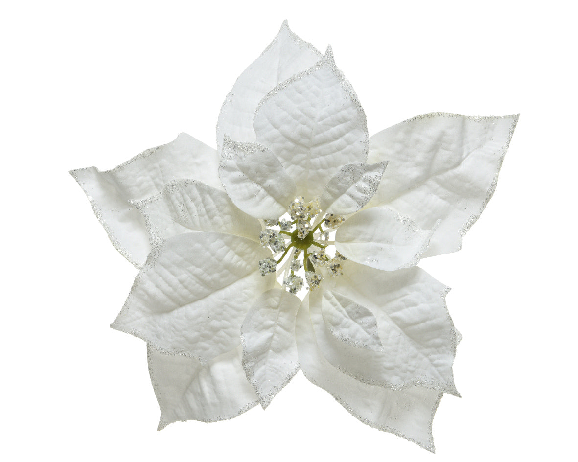 Stella Natalizia White Con Glitter Su Clio D 24x7 Cm