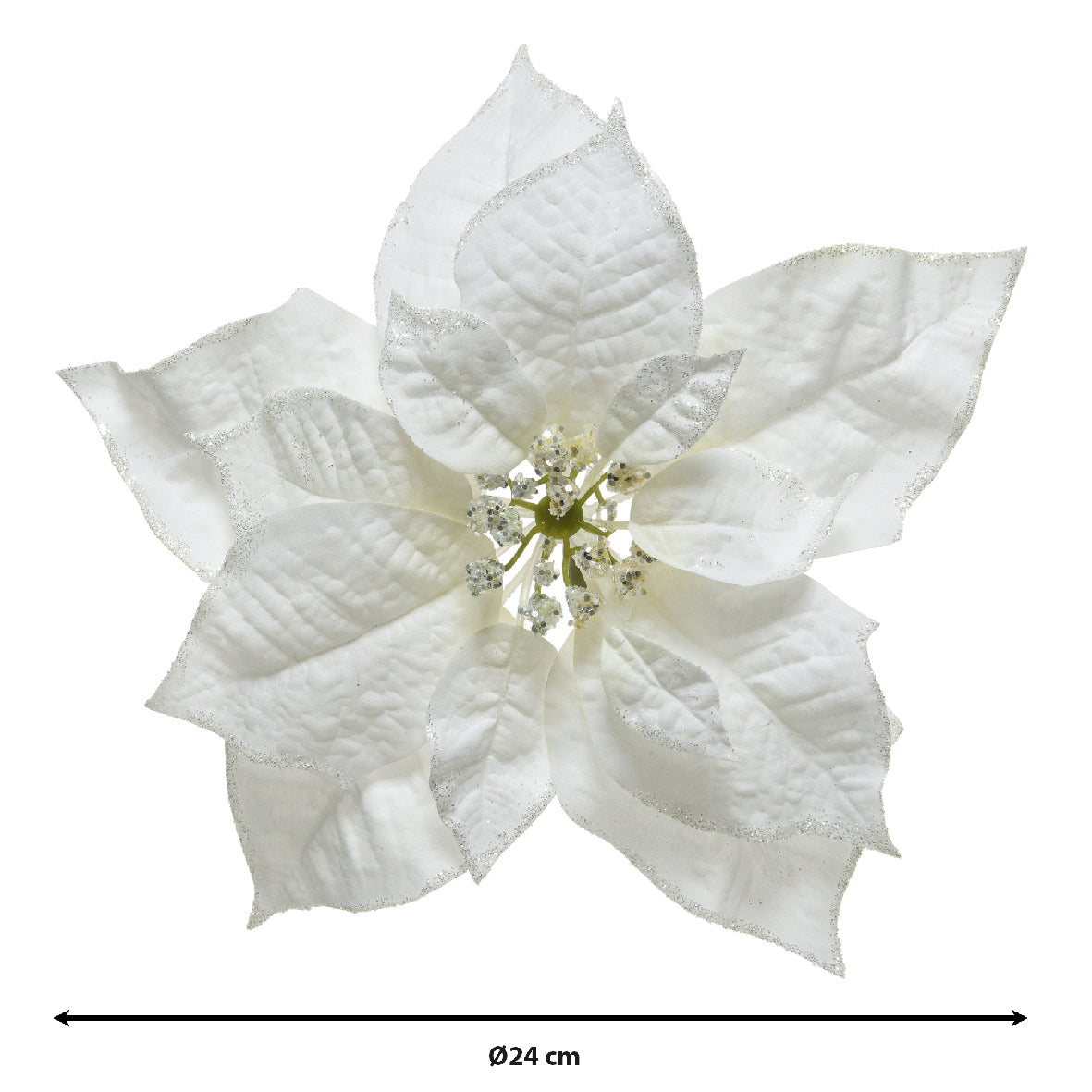Stella Natalizia White su Clio con misura del diametro di 24 cm indicata da una freccia sotto il fiore | DeMatteis.it