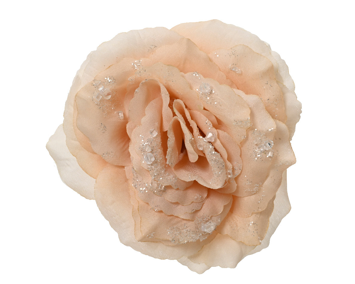 Rosa Crema Su Clip D 14x9 Cm