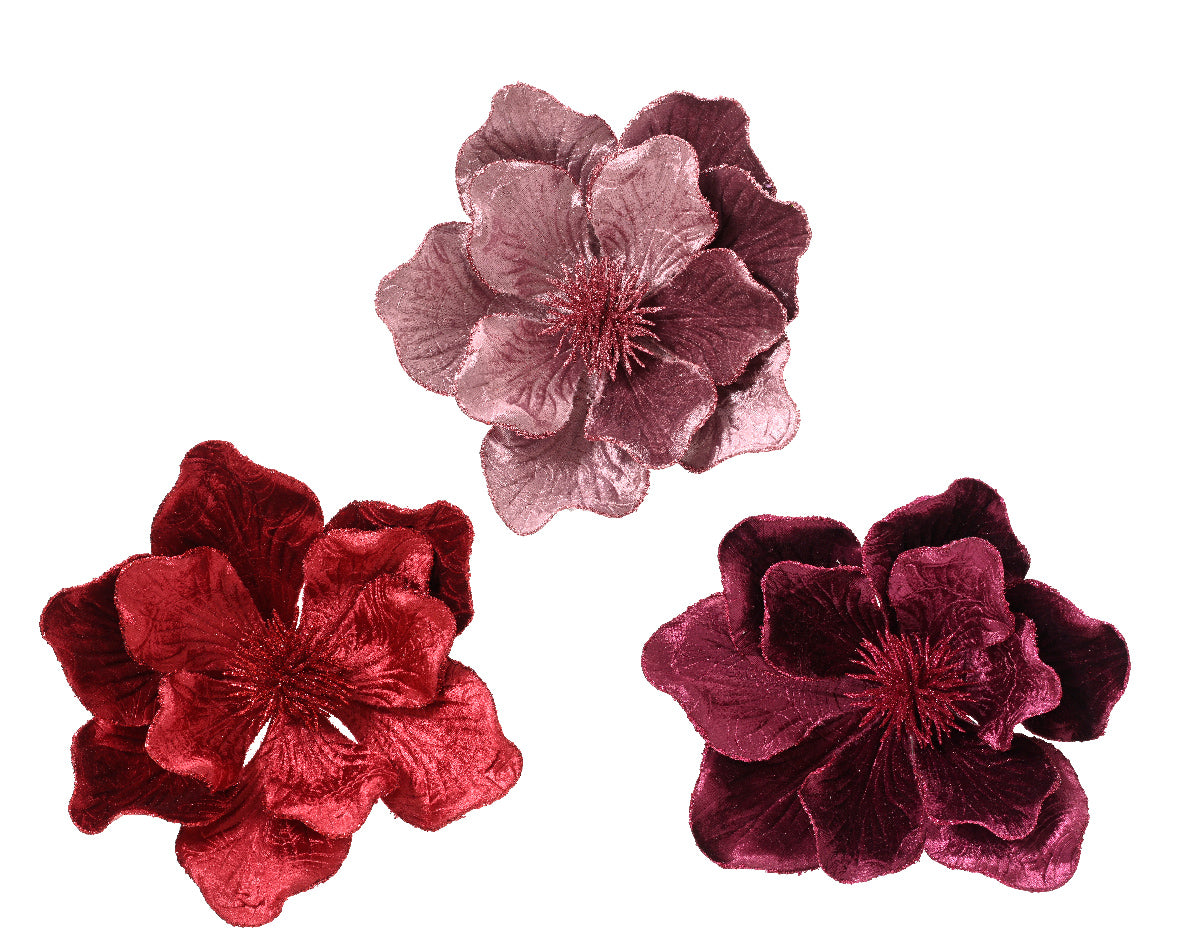 Magnolia Con Clip D 26x16 Cm 1 Pezzo