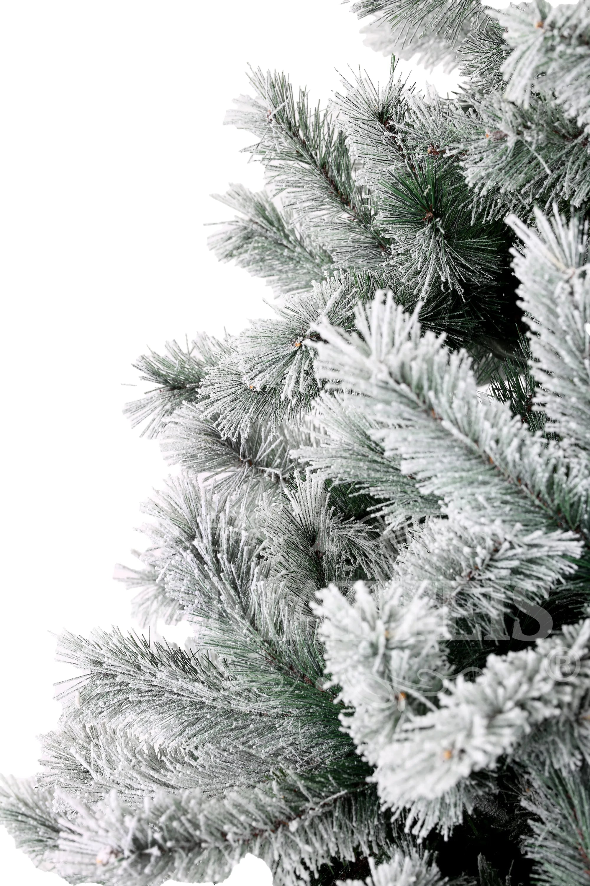 Albero Canada Spruce Frosted 210 Cm