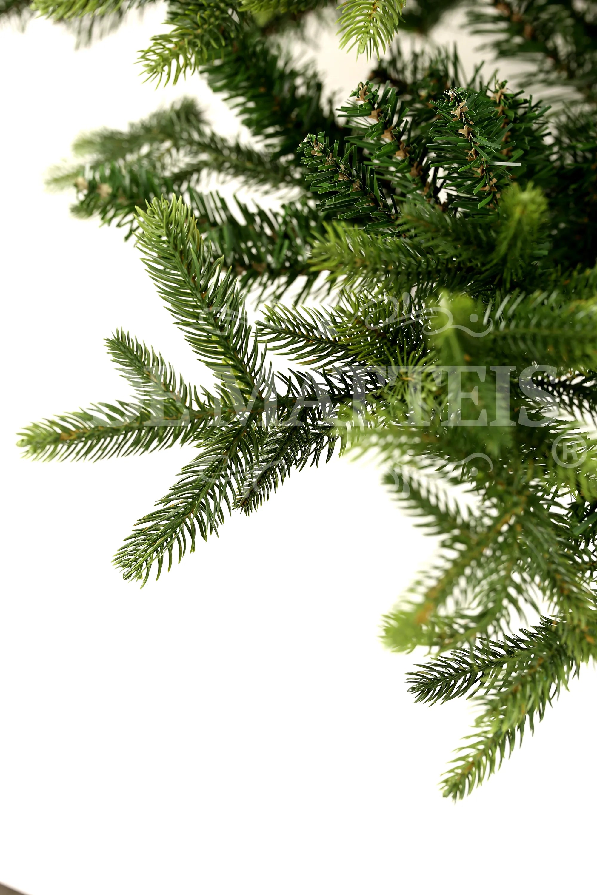 Albero Nordmann Fir 240 Cm Verde