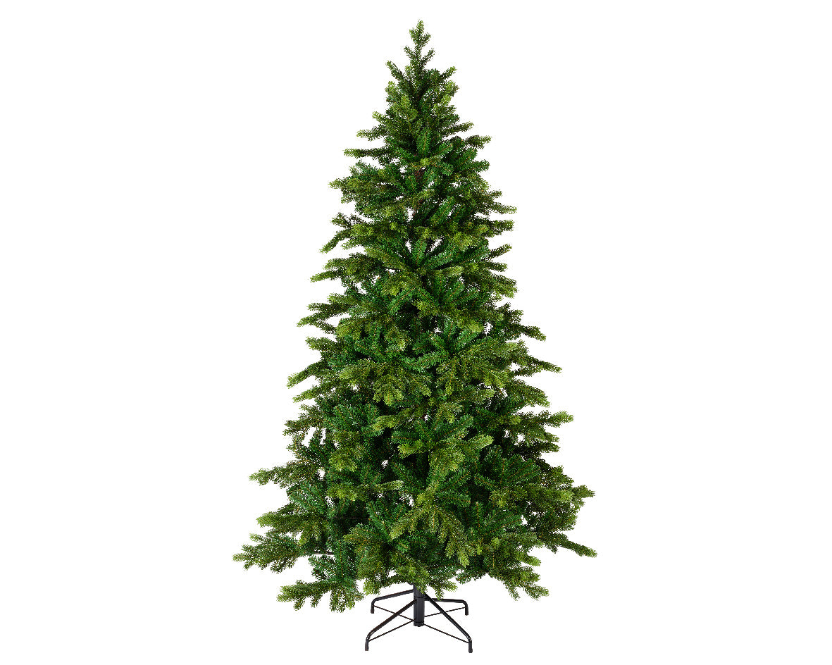 Albero Galloway Spruce 180 Cm