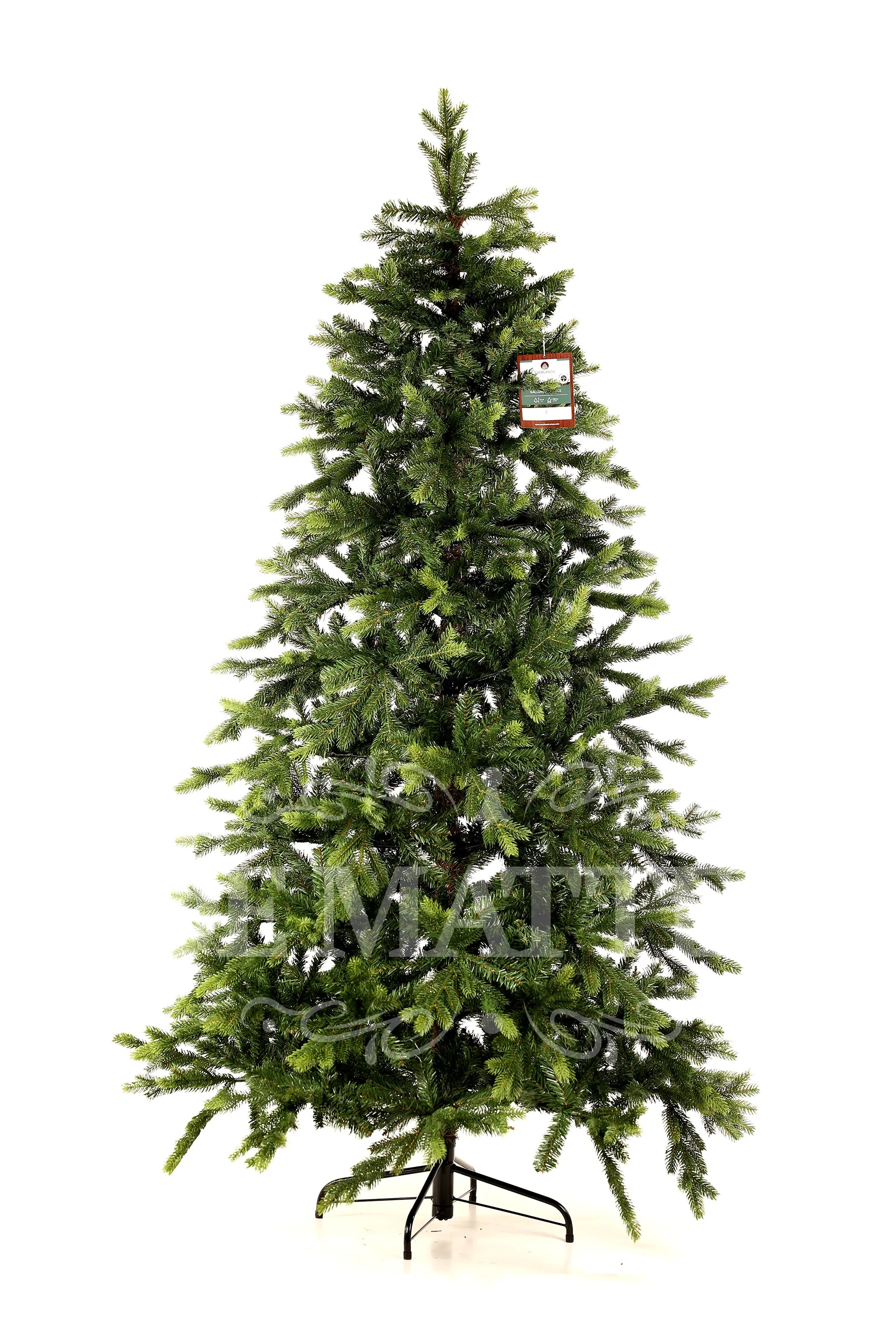 Albero Di Natale Galloway Spruce 210 Cm
