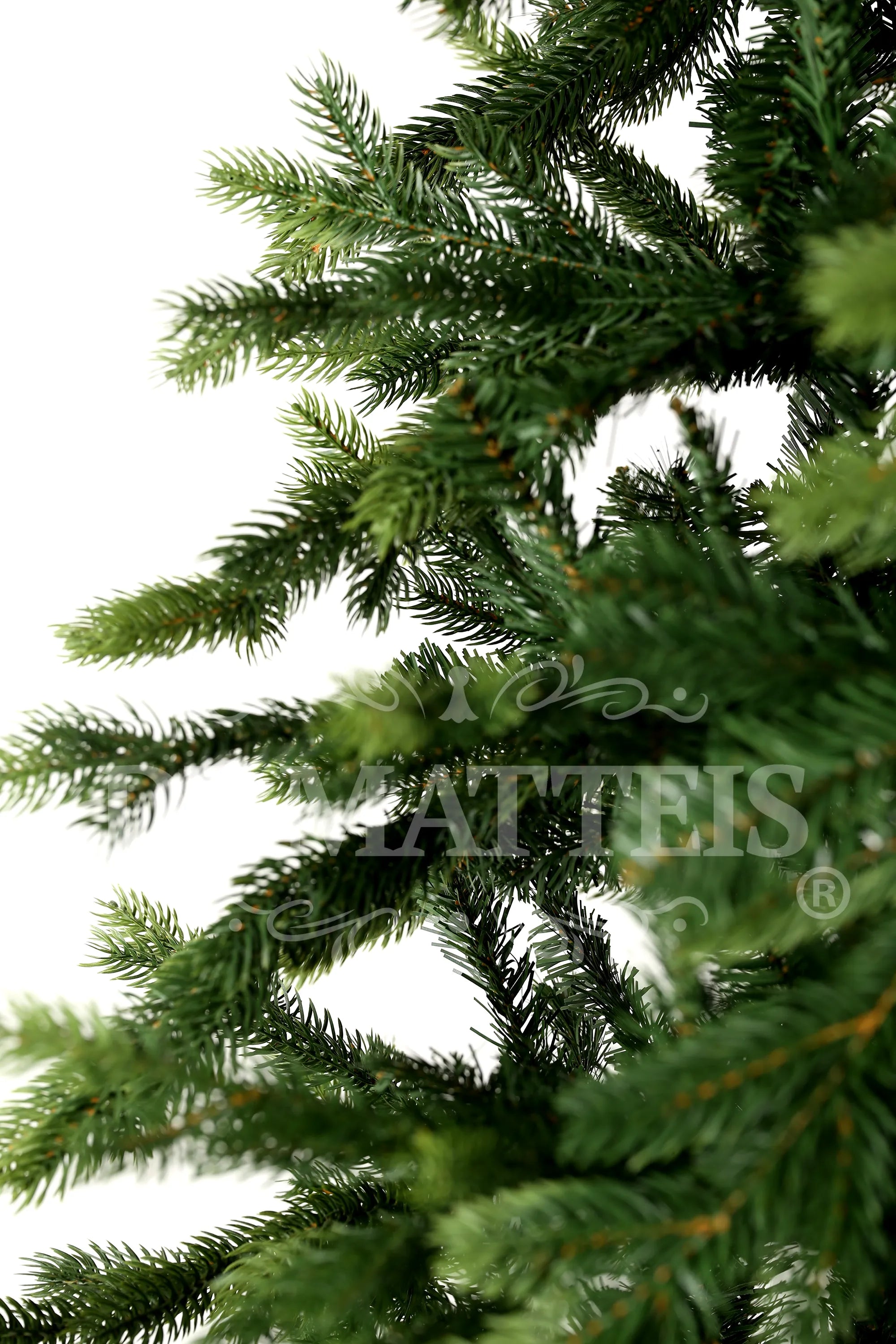 Albero Di Natale Galloway Spruce 300 Cm
