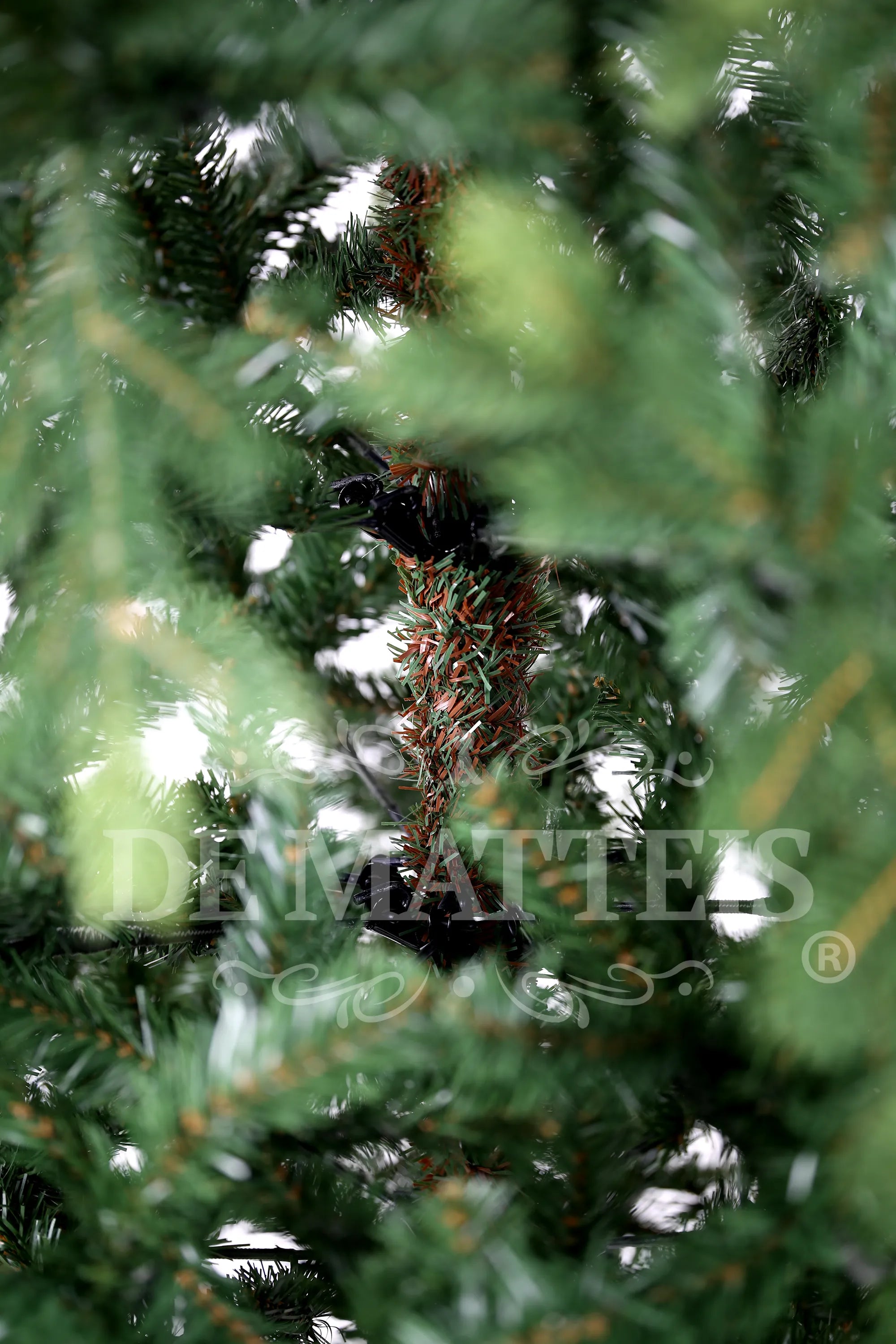 Albero Di Natale Galloway Spruce 300 Cm