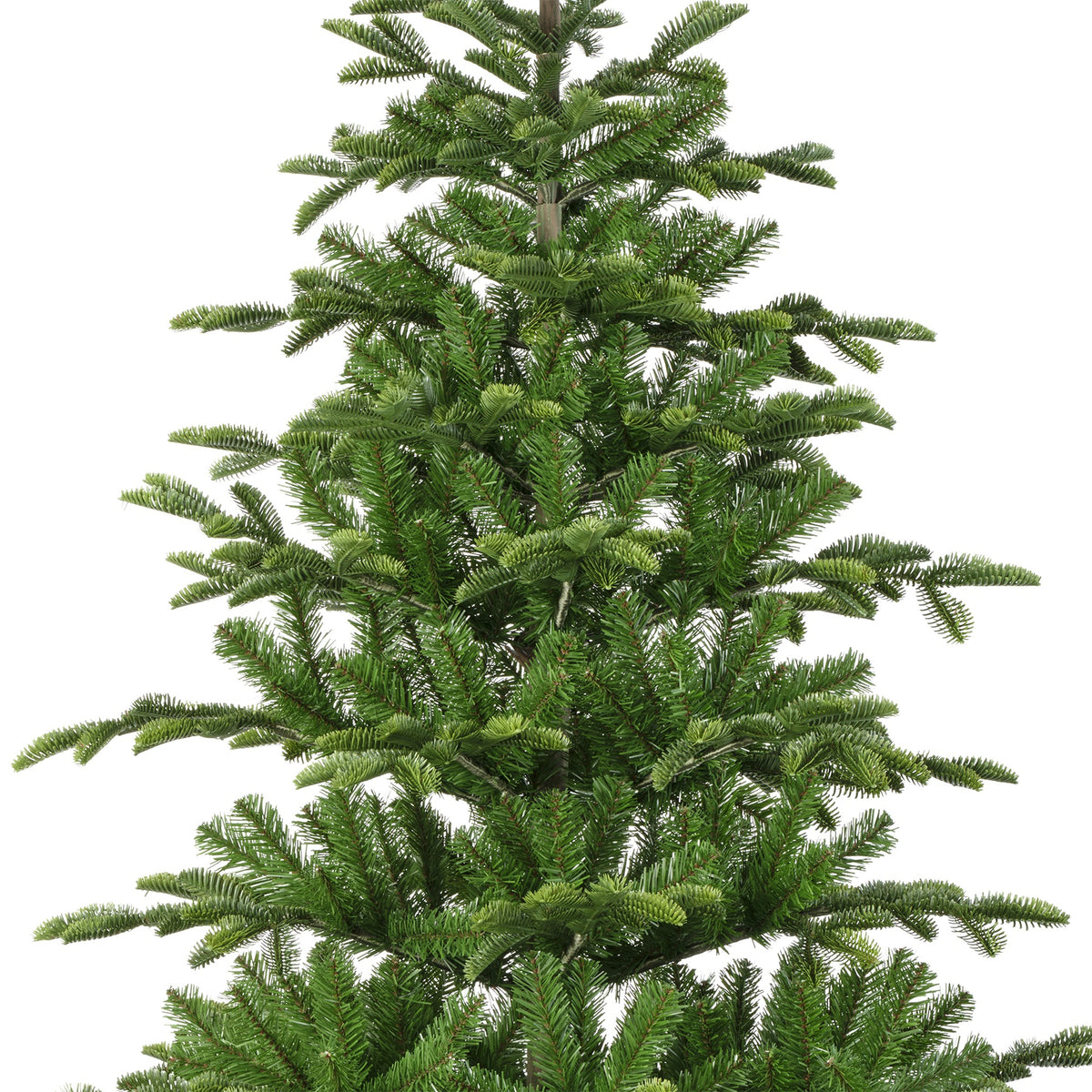 Albero Balsamea Fir Verde 240 Cm