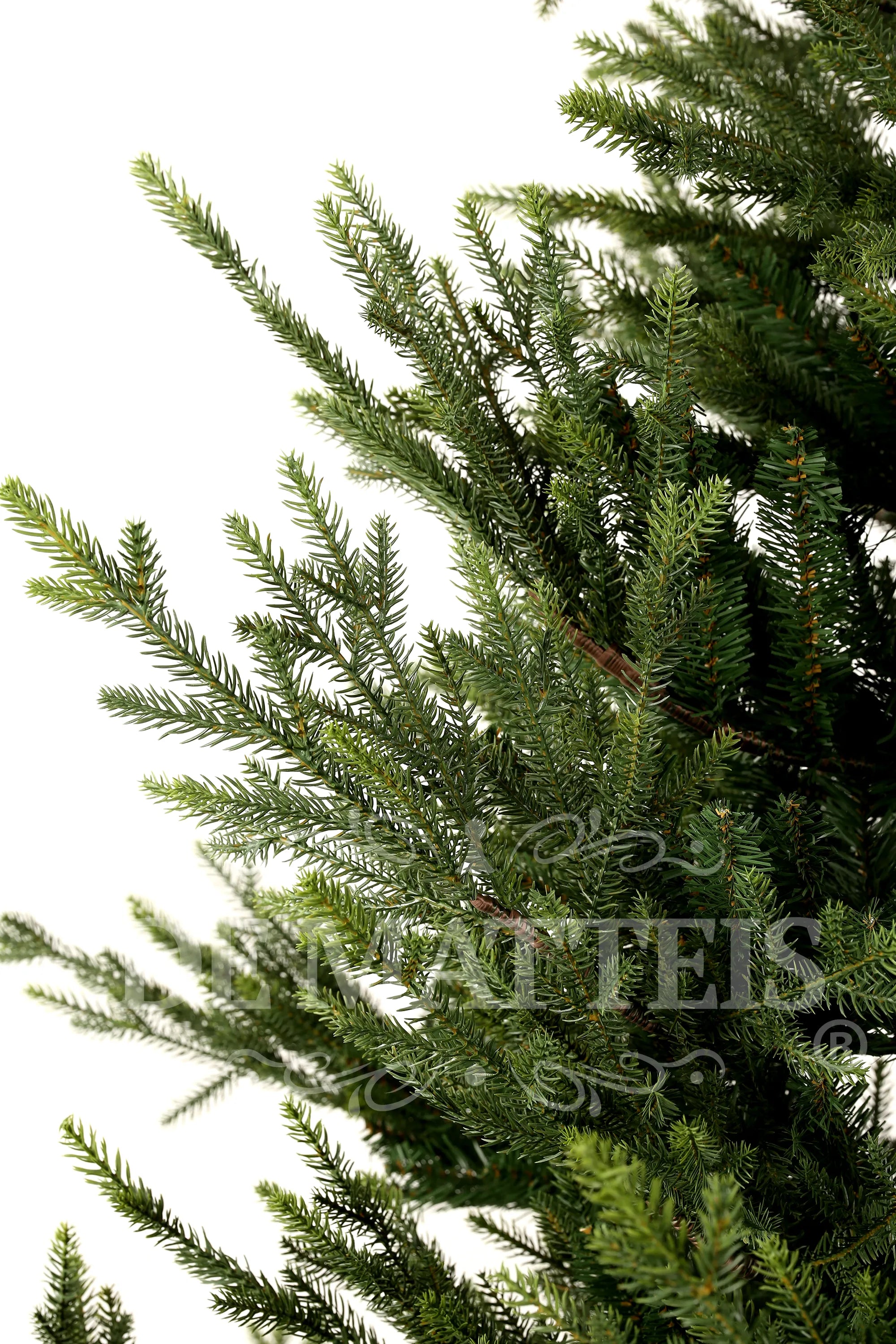 Albero Di Natale Norway Spruce 240 Cm Verde