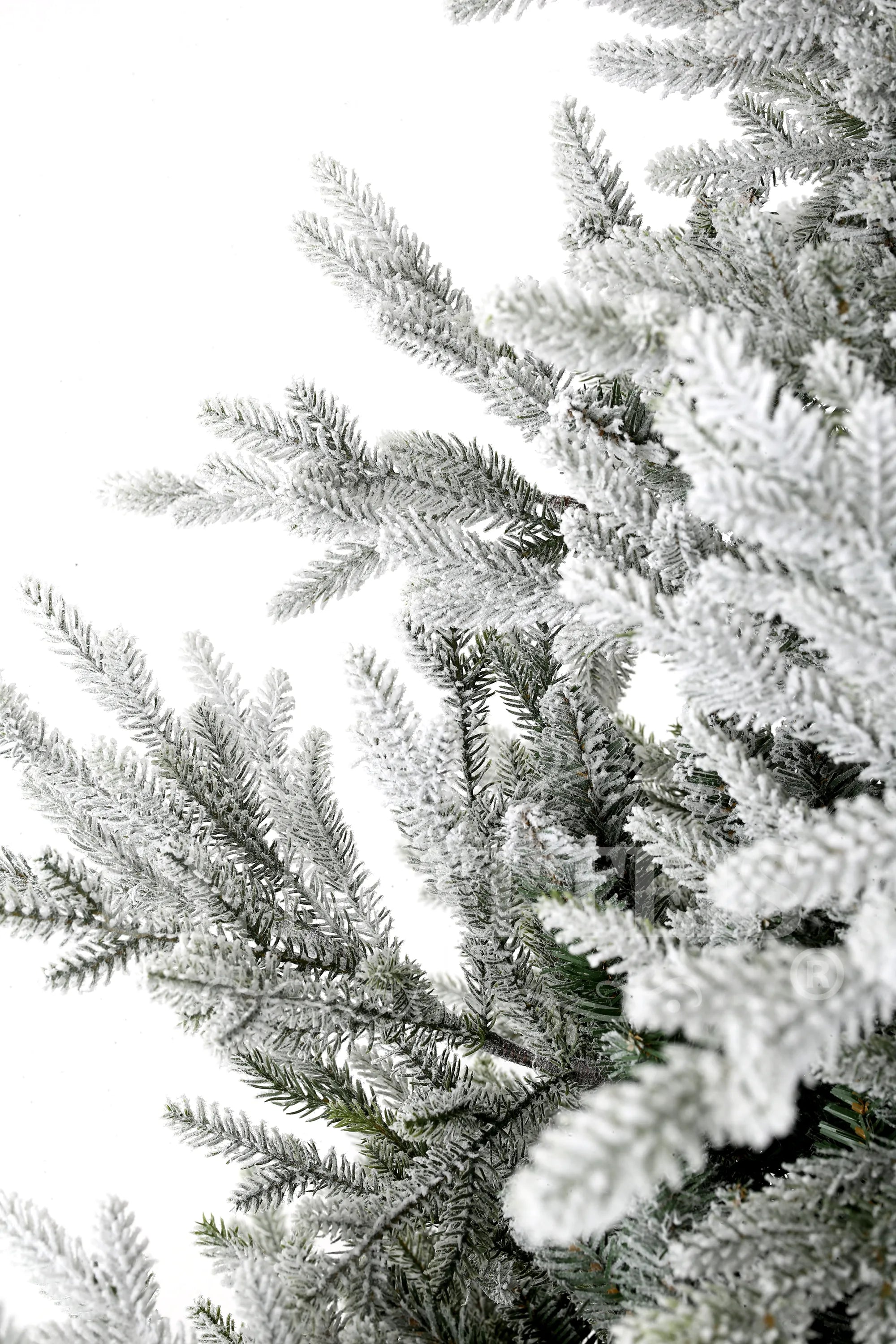 Albero Di Natale Snowy Norway Spruce 210 Cm