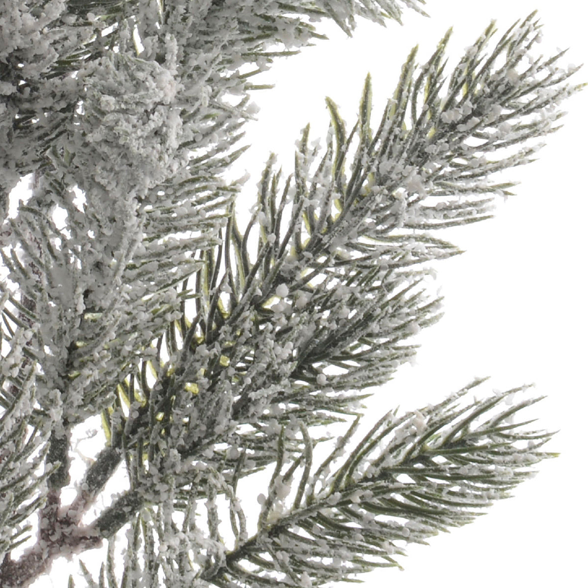 Dettaglio ravvicinato degli aghi di pino con effetto neve granulosa bianca su rametti verdi | DeMatteis.it