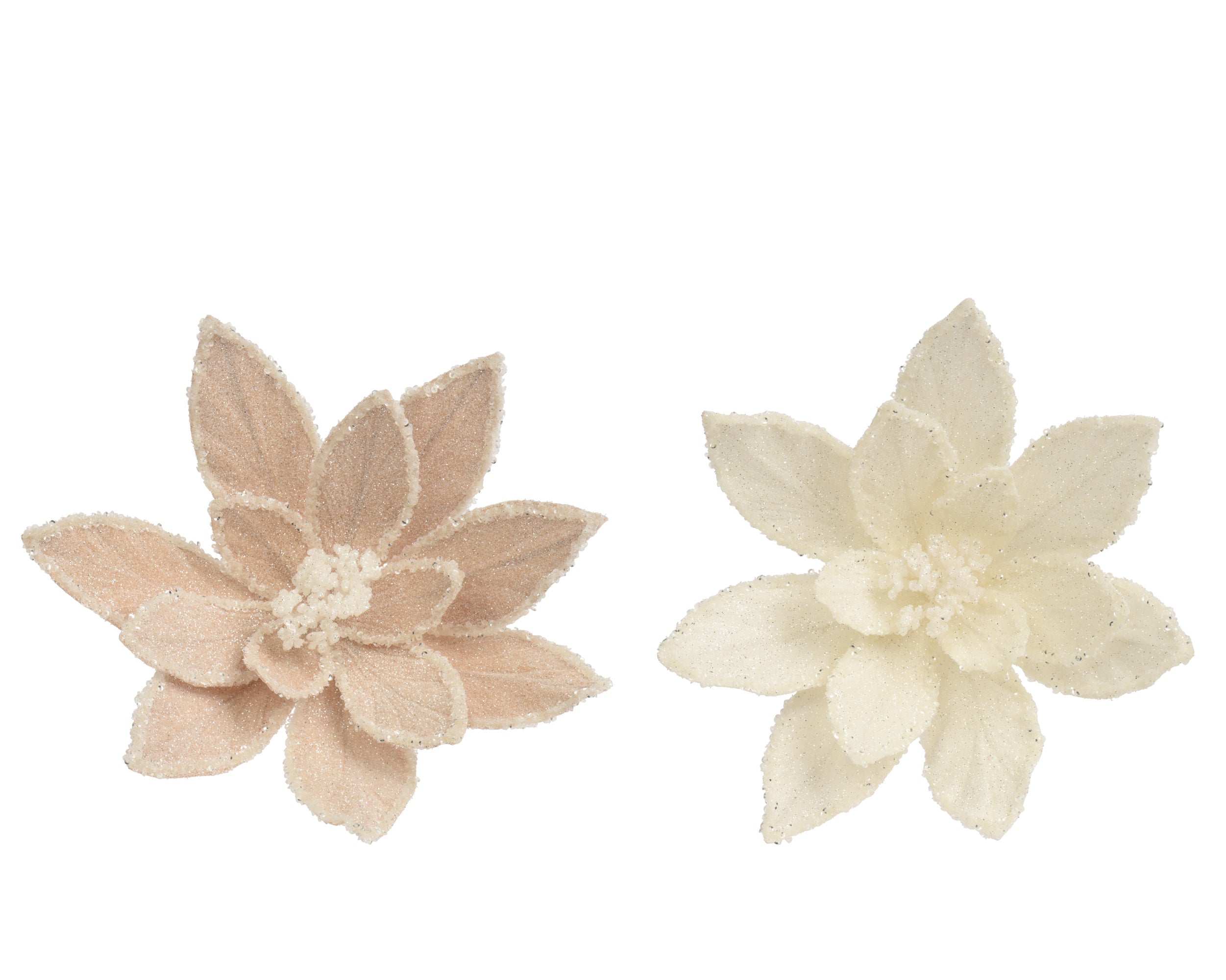 Stella Natale Crema E Bianca D 30x11 Cm