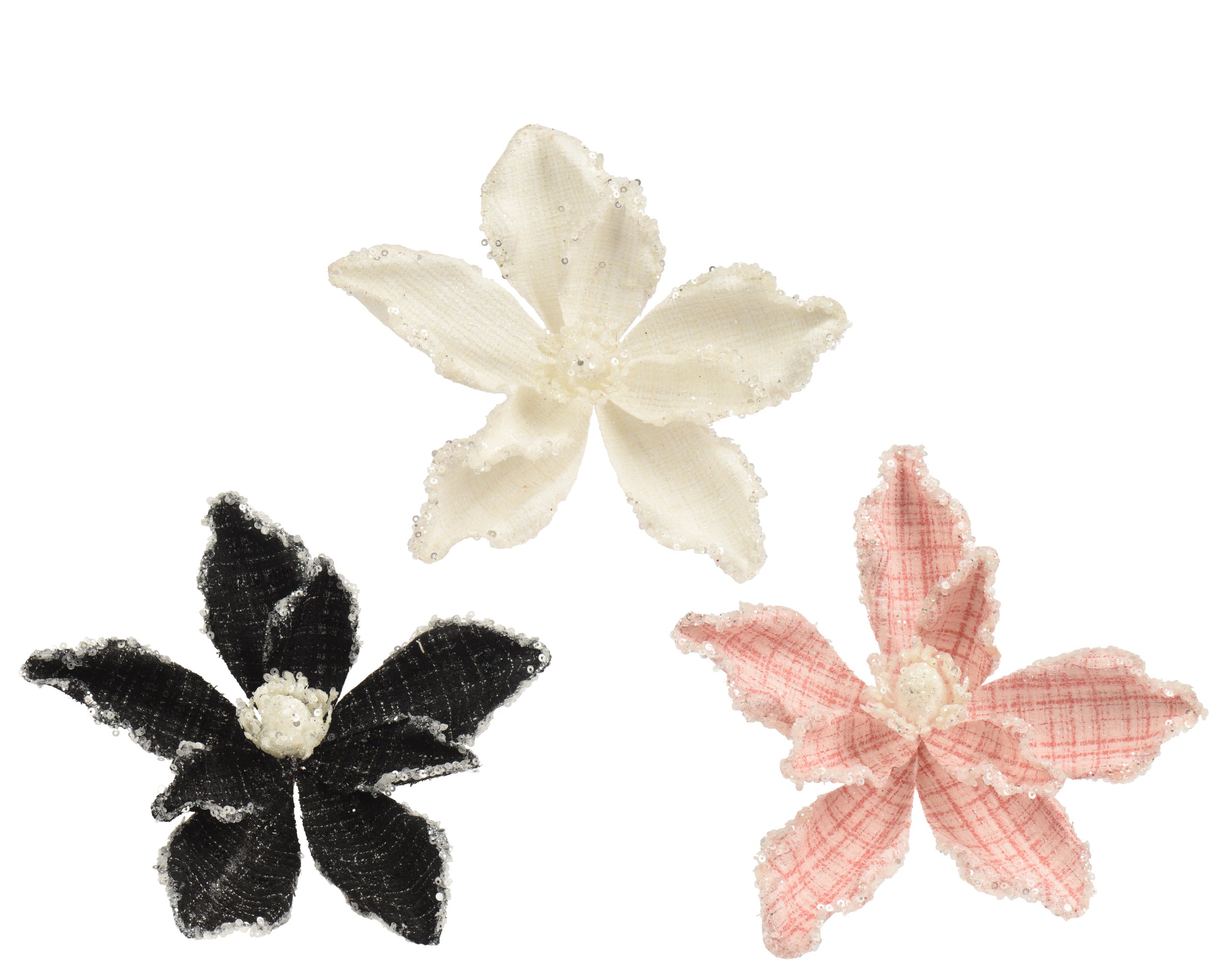 Magnolia Con Clip D 20x7 Cm 1 Pz