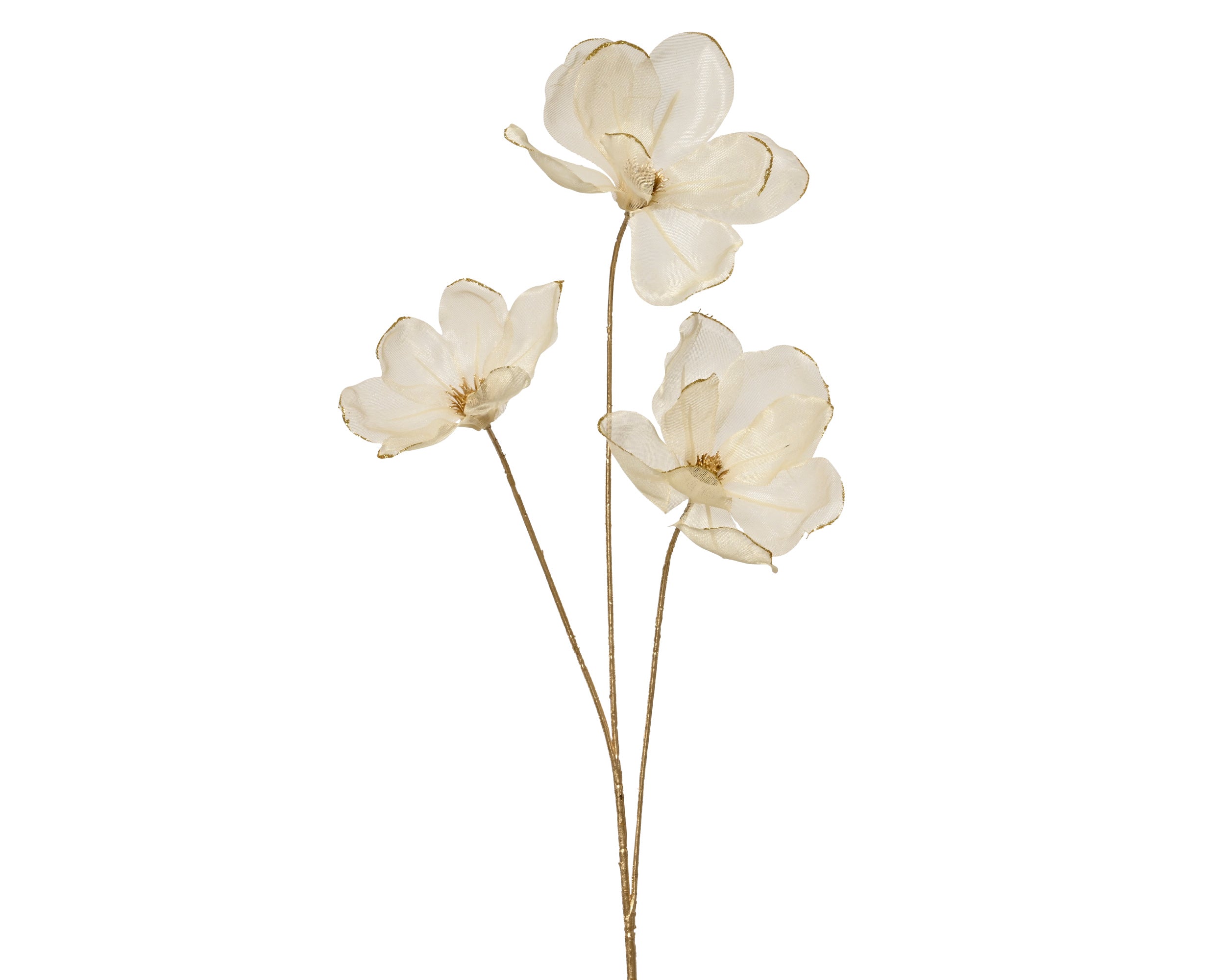 Ramo Magnolia Crema E Oro 74 Cm