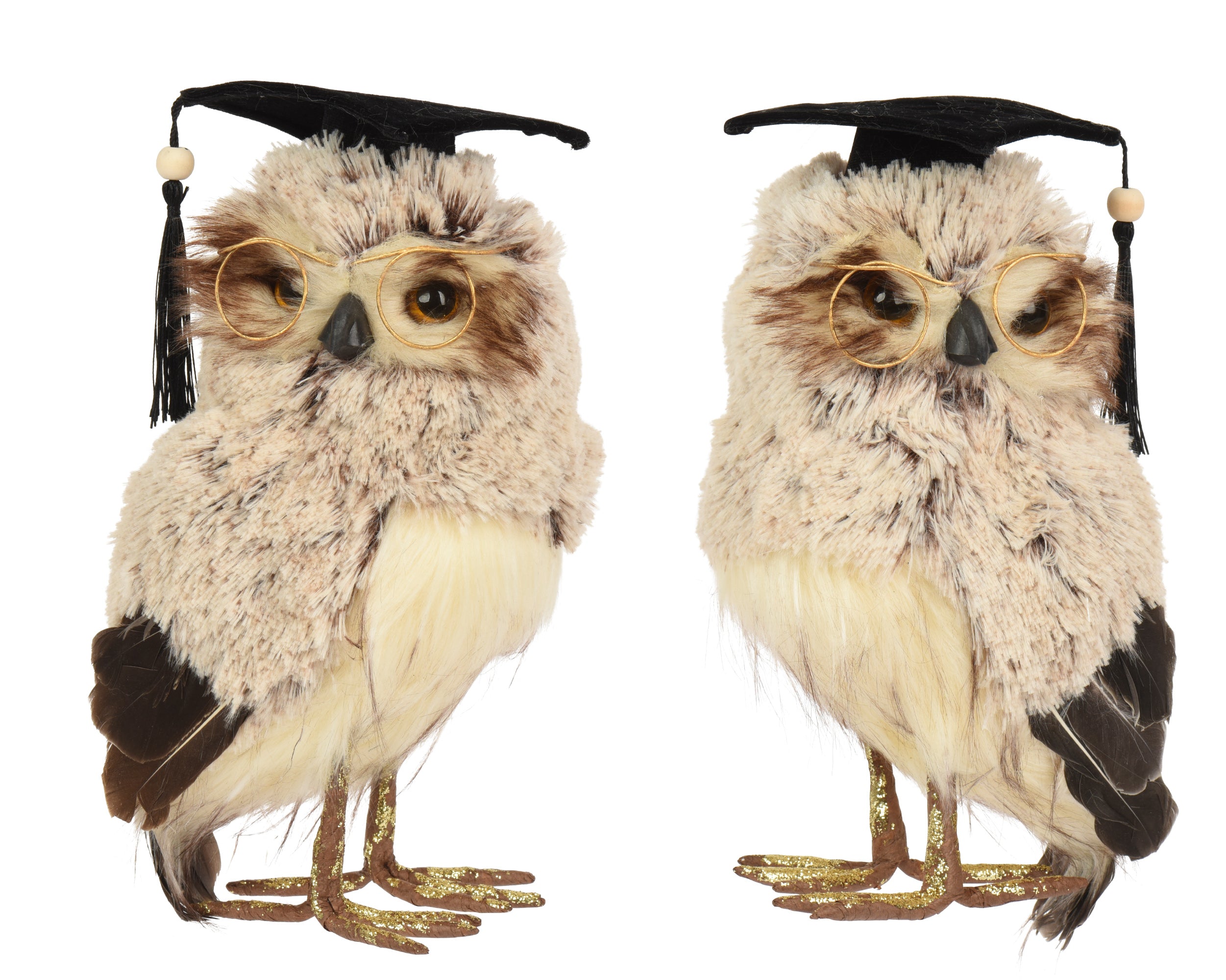 Gufo Cappello Laurea 13x18x27 Cm