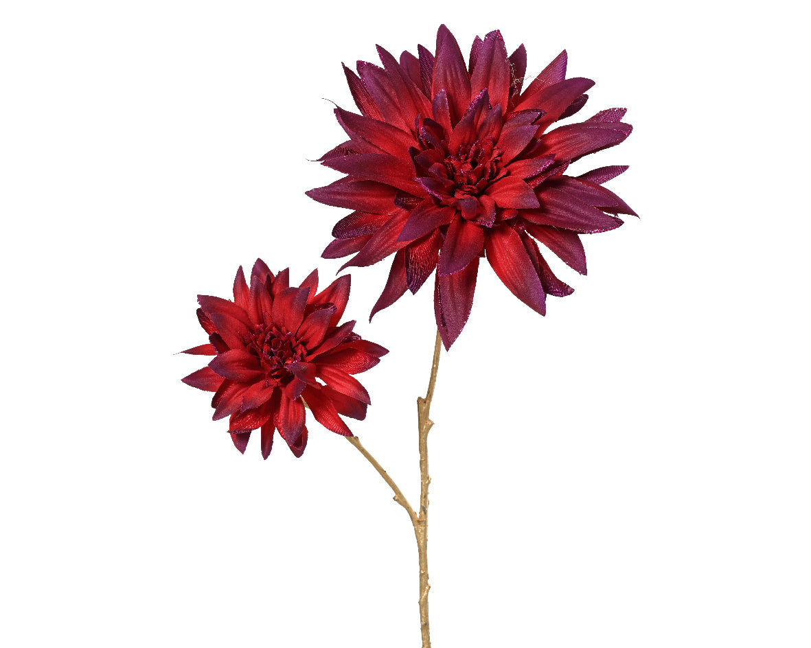Dalia Oxblood Stelo Oro 22x16x75 Cm