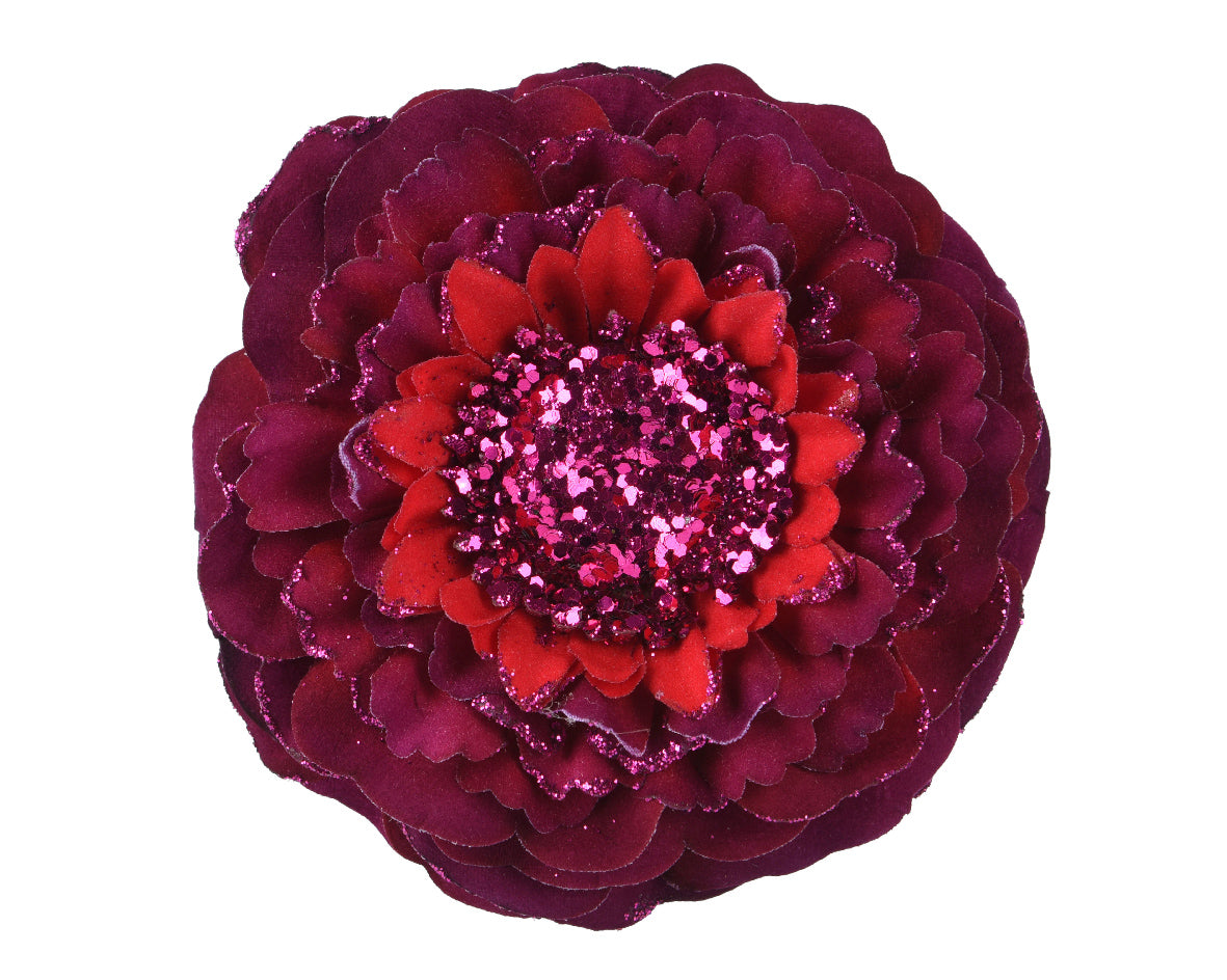 Fiore Zinnia Oxblood D 10x3 Cm Clip