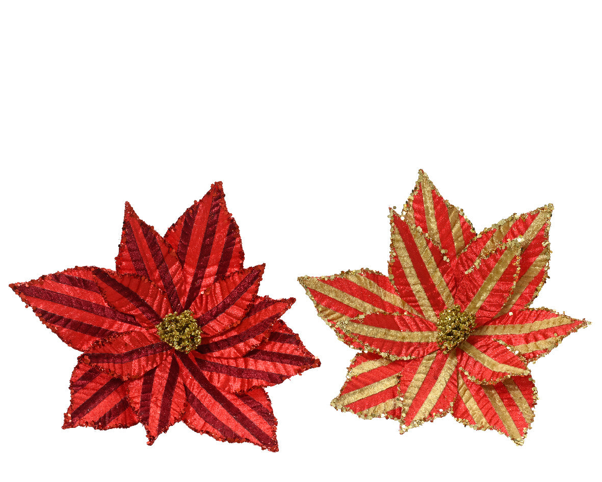 Stella Natale Rosso Oro D 27x8 Cm